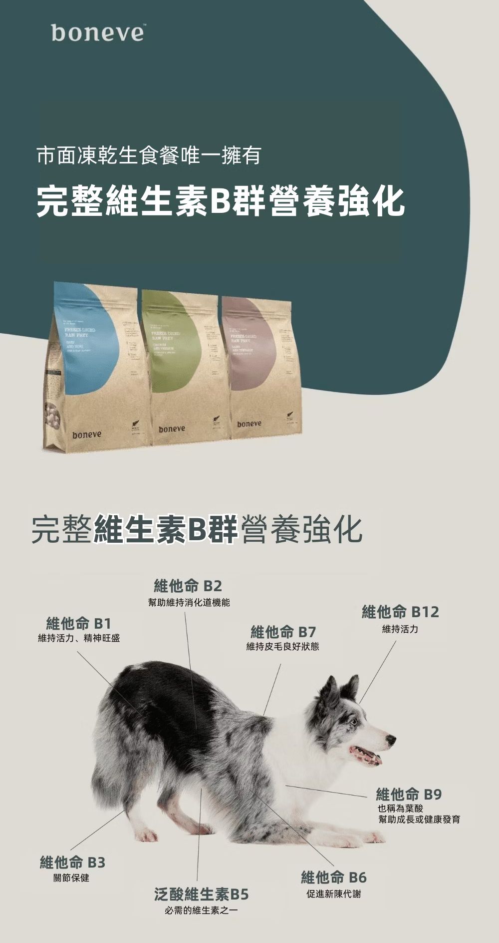 【跟屁蟲】紐西蘭本牧 全齡犬用凍乾生食餐 100g/340g