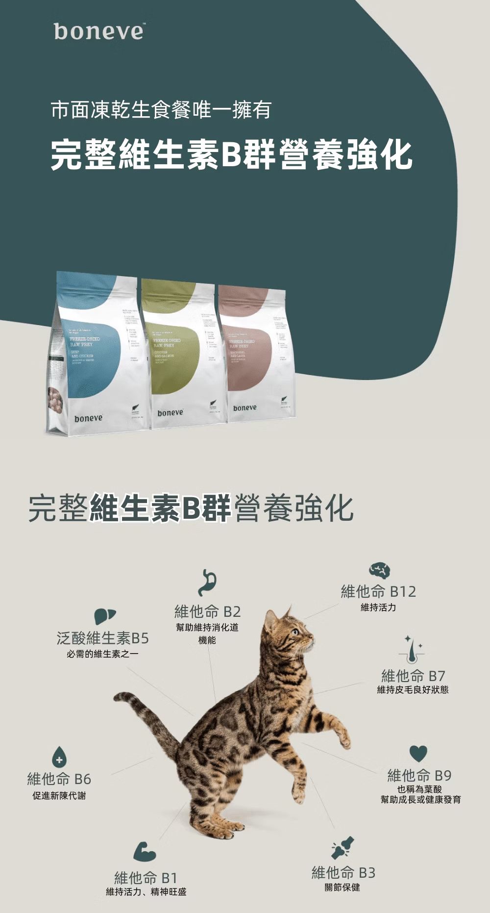 【跟屁蟲】紐西蘭本牧 全齡貓用凍乾生食餐 80g/280g