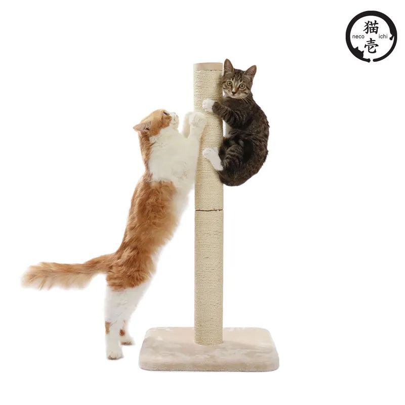 【跟屁蟲】貓壹 新抓抓柱麻繩 M/L