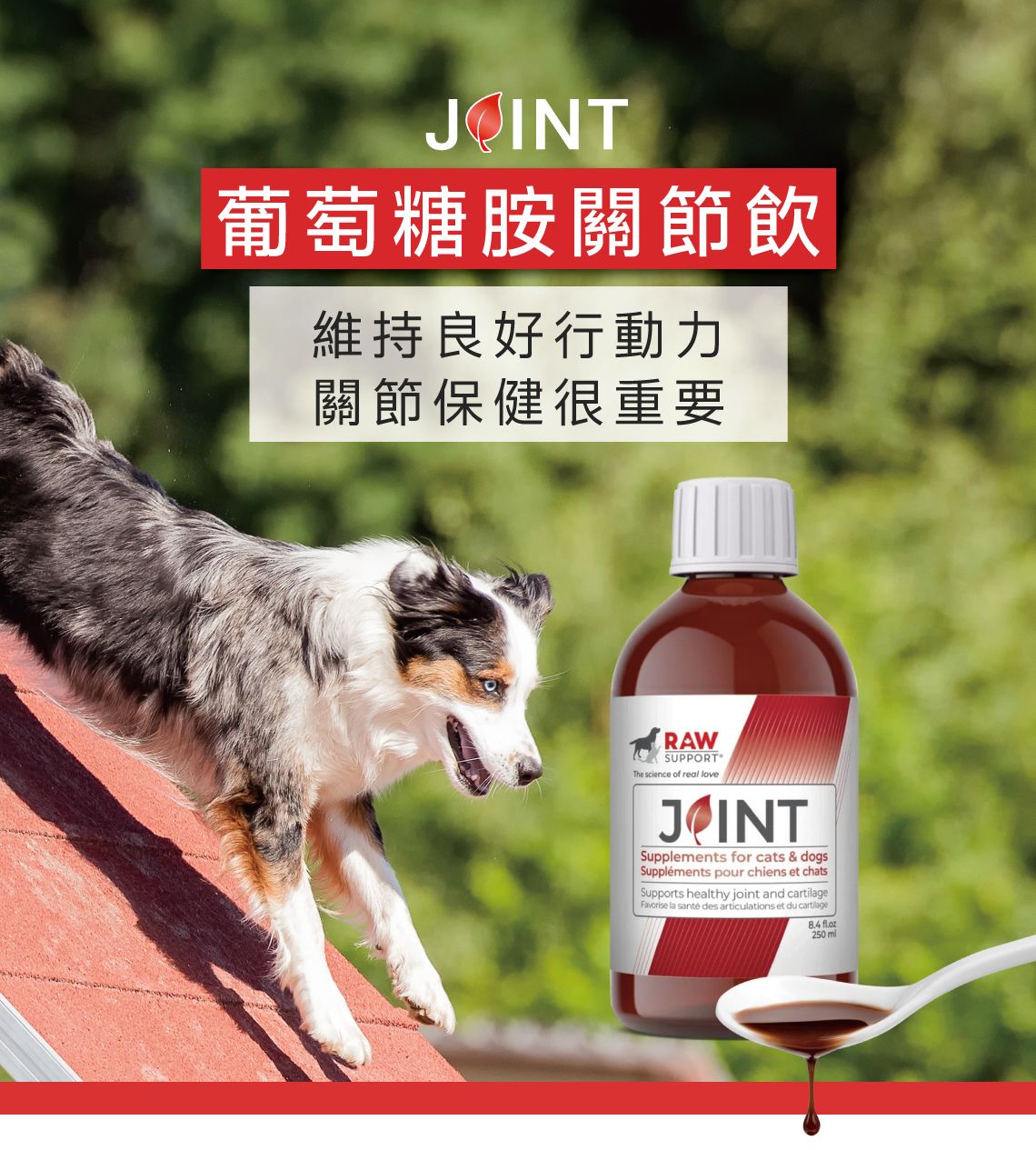 【跟屁蟲】牧野飛行。葡萄糖胺關節飲 250ml