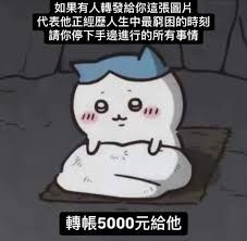 這是包裝兼賣場手續費！沒下此選項代表您同意裸裝出貨！