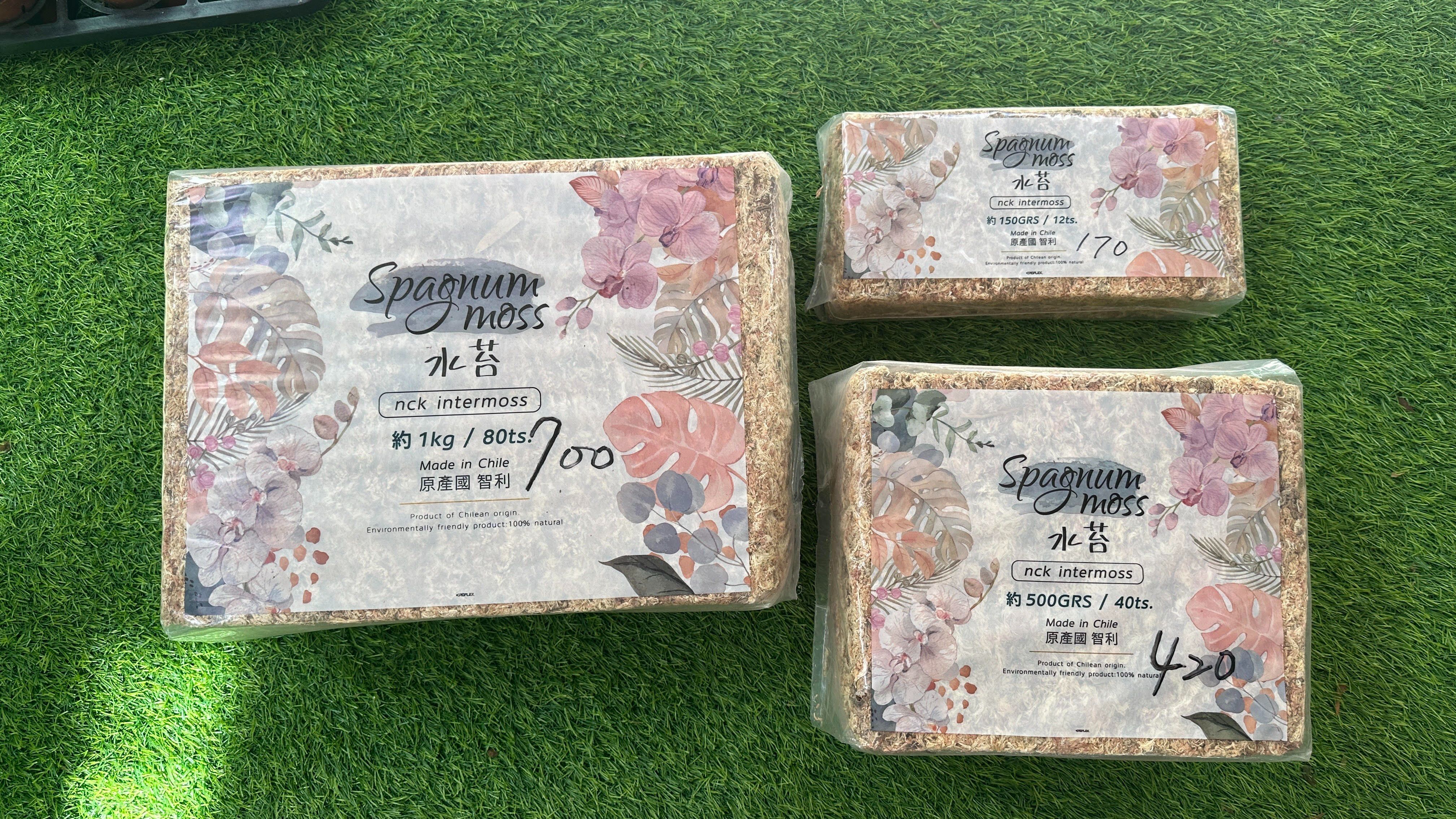 智利水草（老闆推薦）