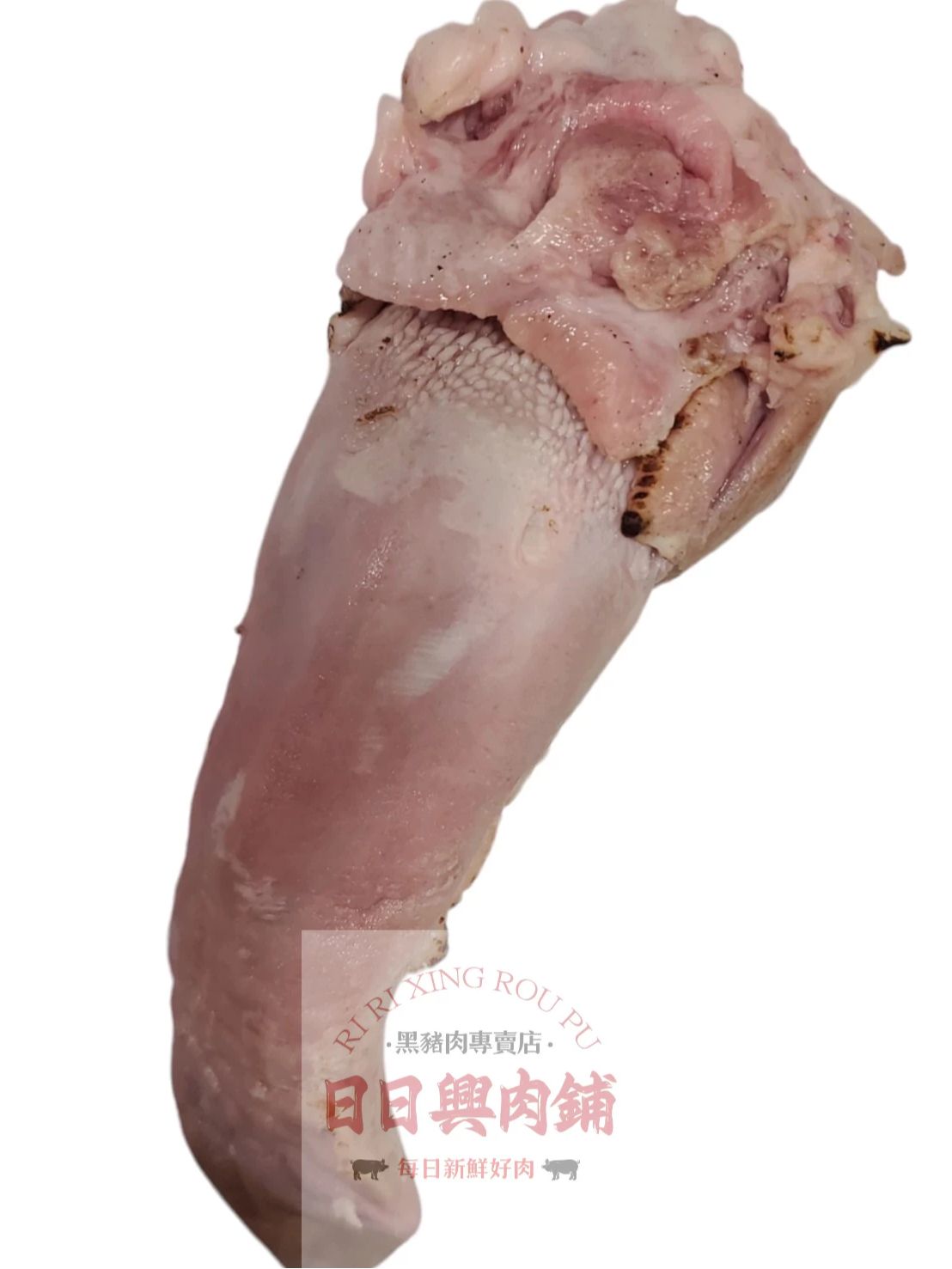 豬舌頭