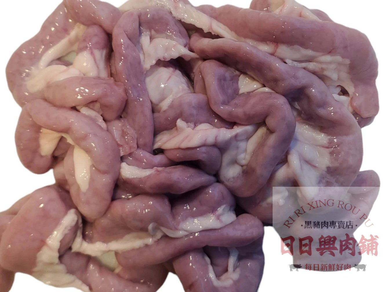 粉腸