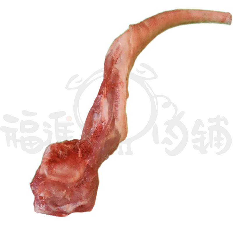 豬尾巴