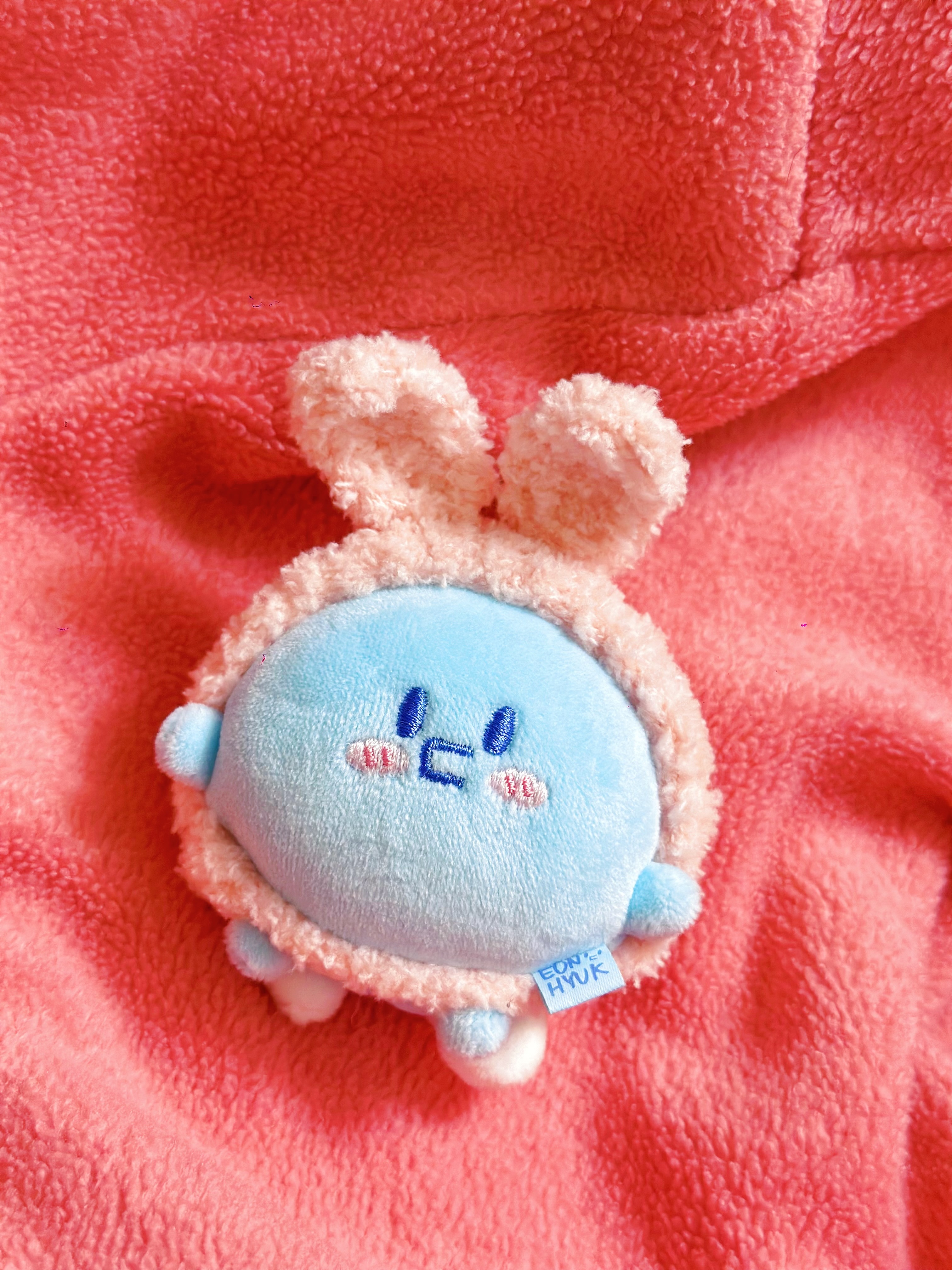 毛絨絨兔兔頭套🐰✨（圭咩＆19週年糰子娃通用）