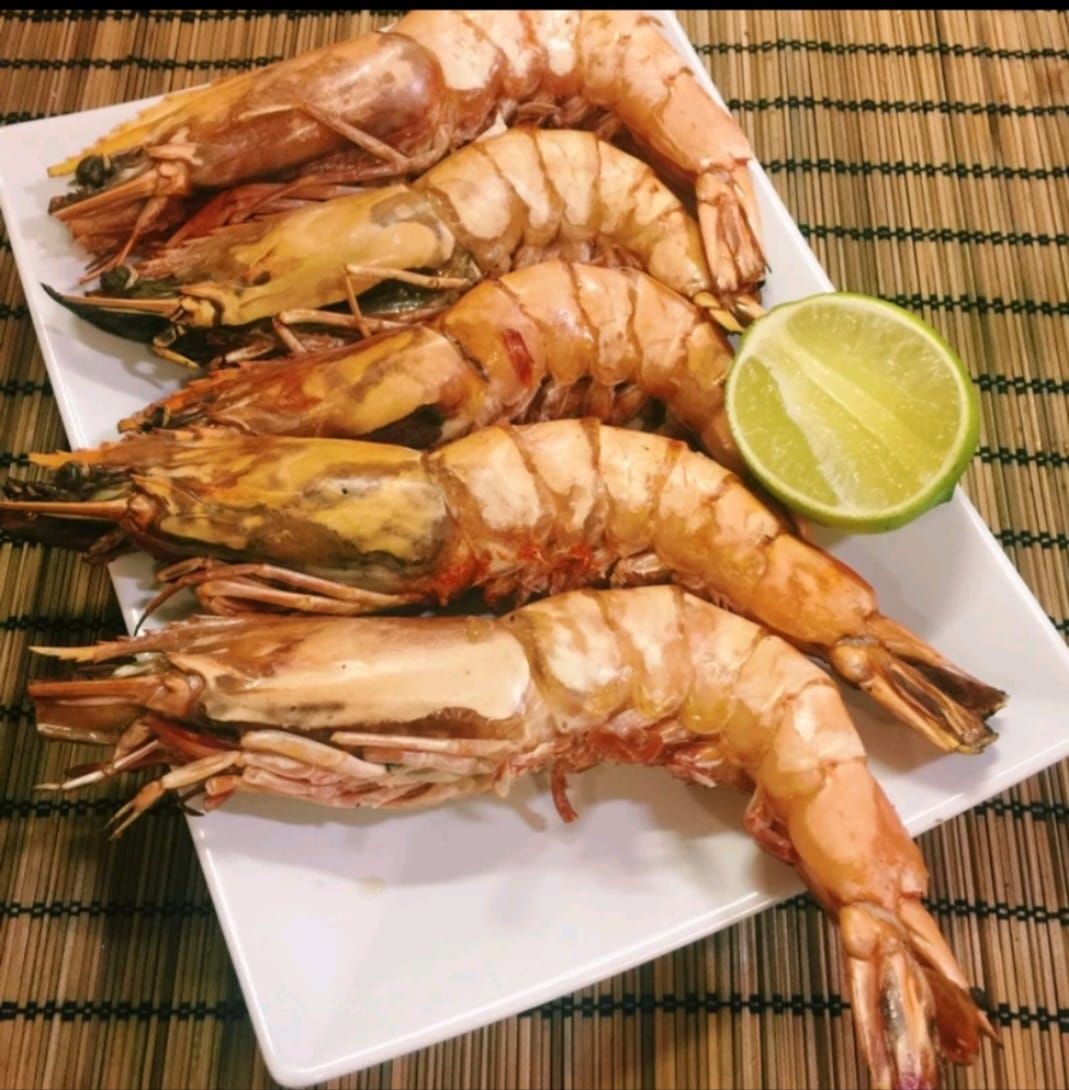 菲律賓肥豬蝦🦐