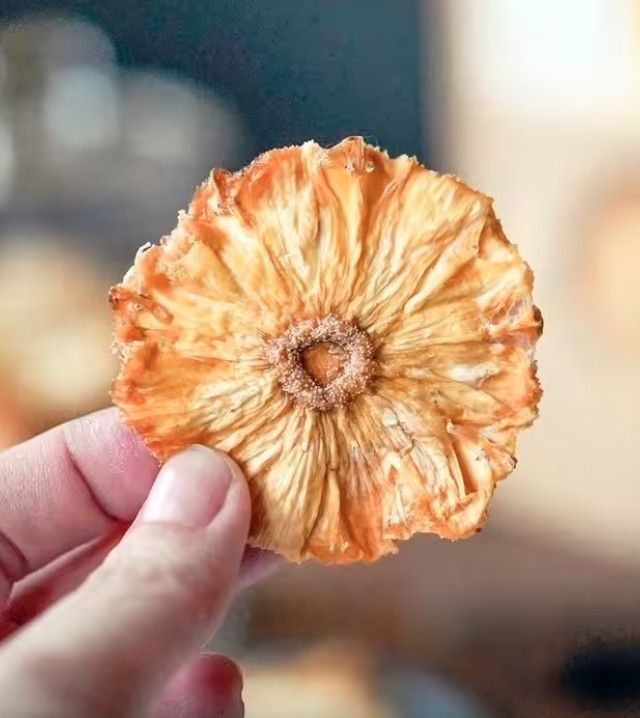 黑狗兄ㄟ旺來干 /無加糖金鑽鳳梨花