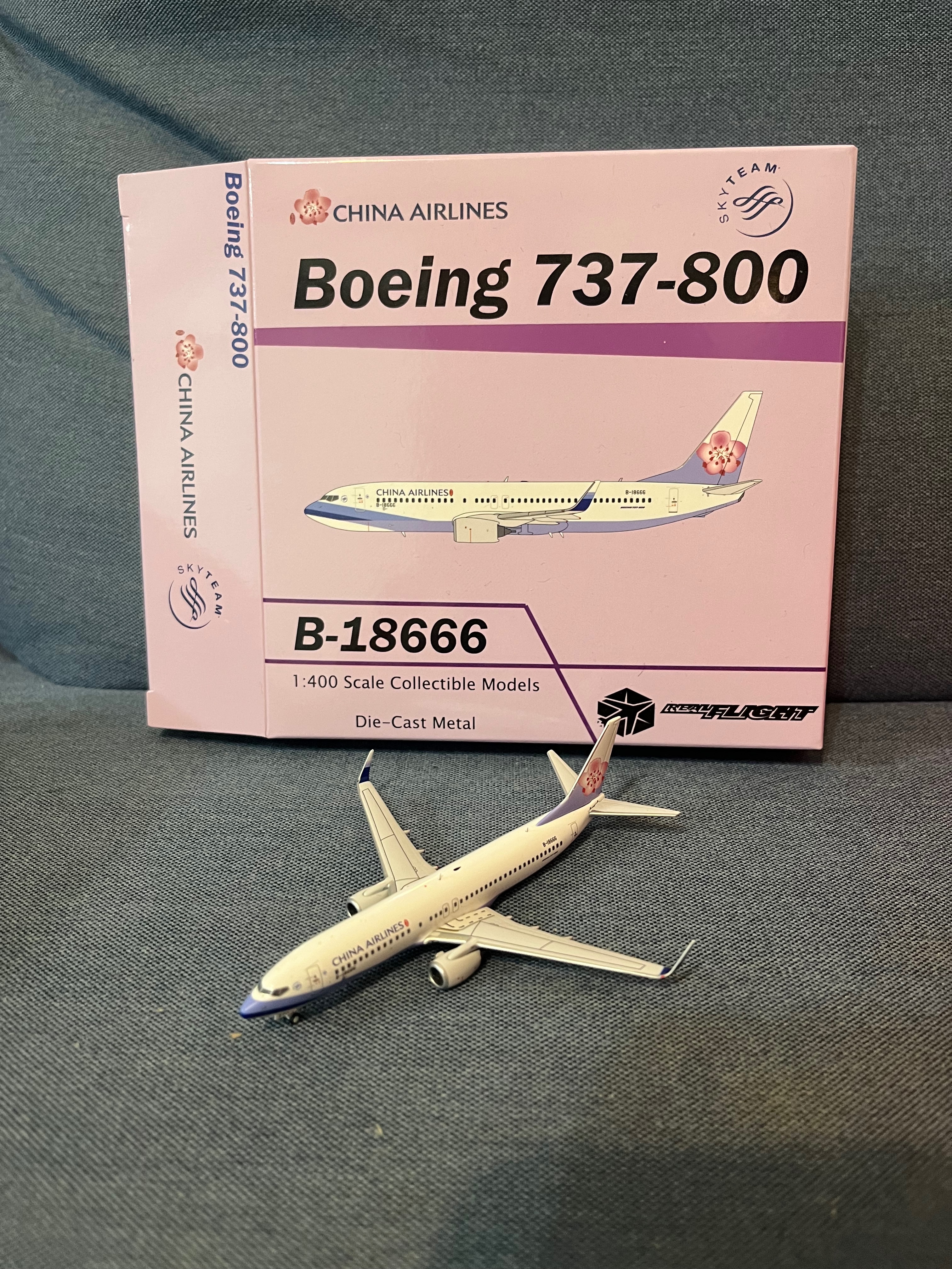 10. realflight 獨家 Panda 中華航空 China Airlines B737-800 B-18666