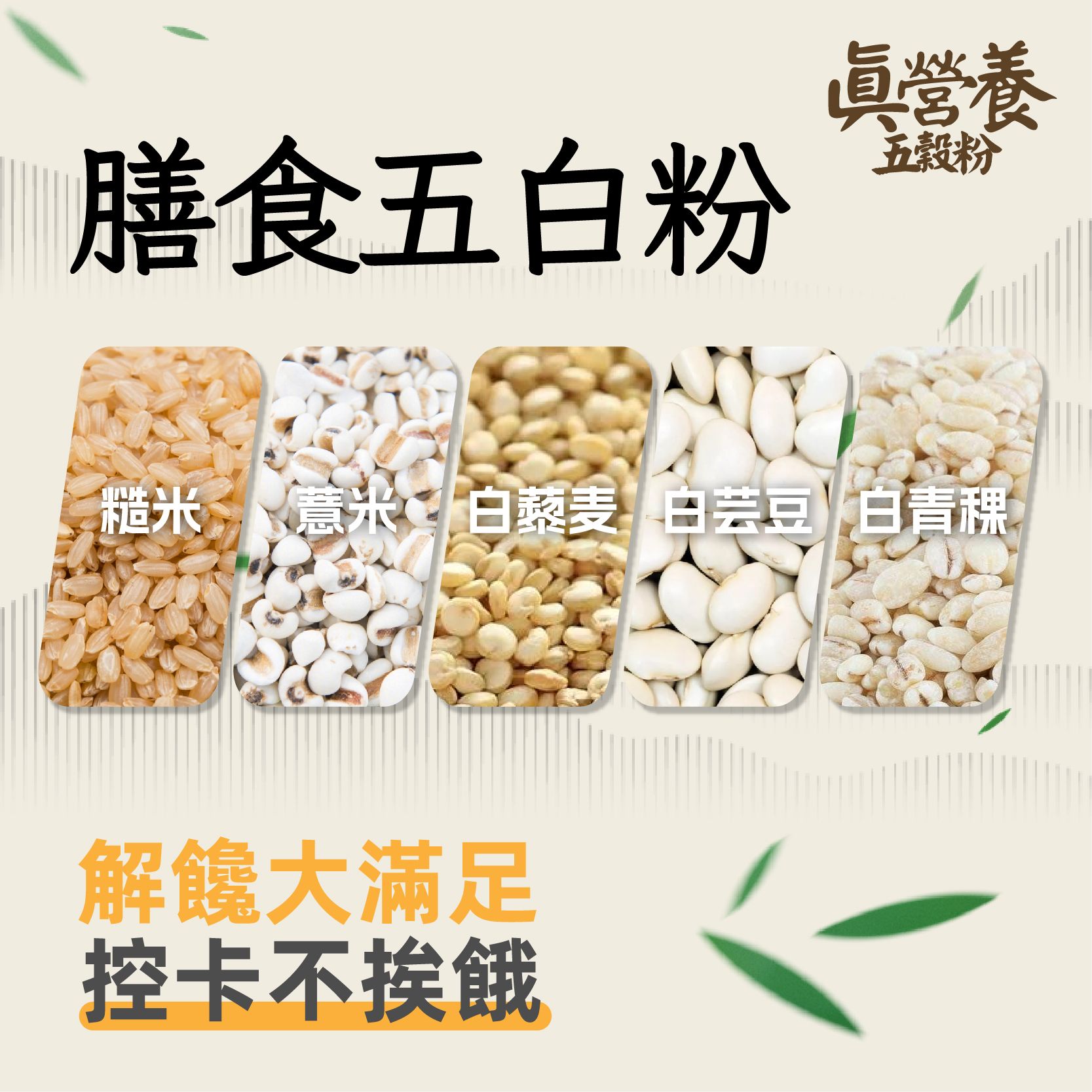 膳食五白粉（白藜麥.白青稞.白芸豆.白薏米.糙米）