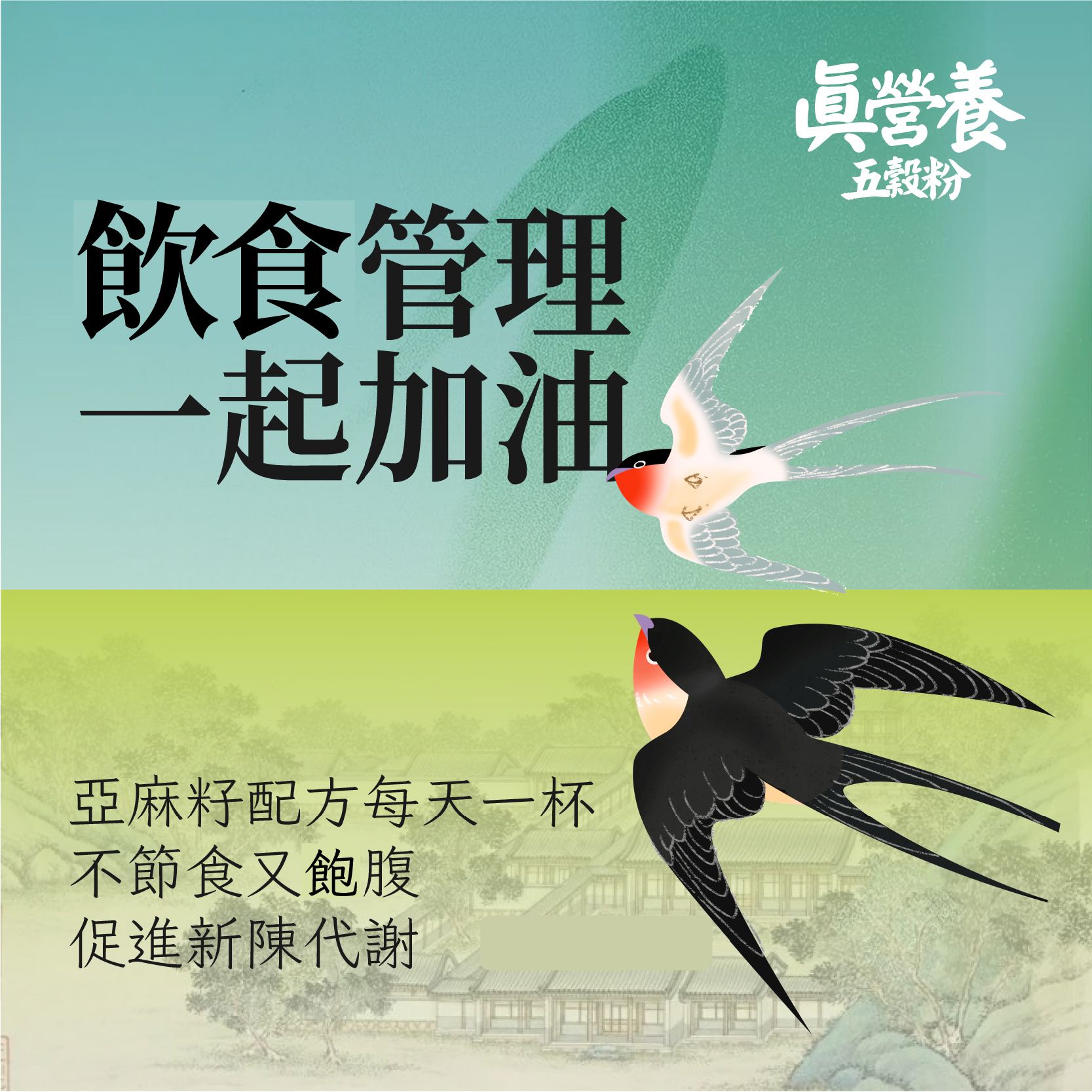 台灣真營養五穀粉-飲食管理粉（紅棗.糙米.赤小豆.薏米.高粱.奇亞籽.燕麥.藜麥.蕎麥.黑芝麻）