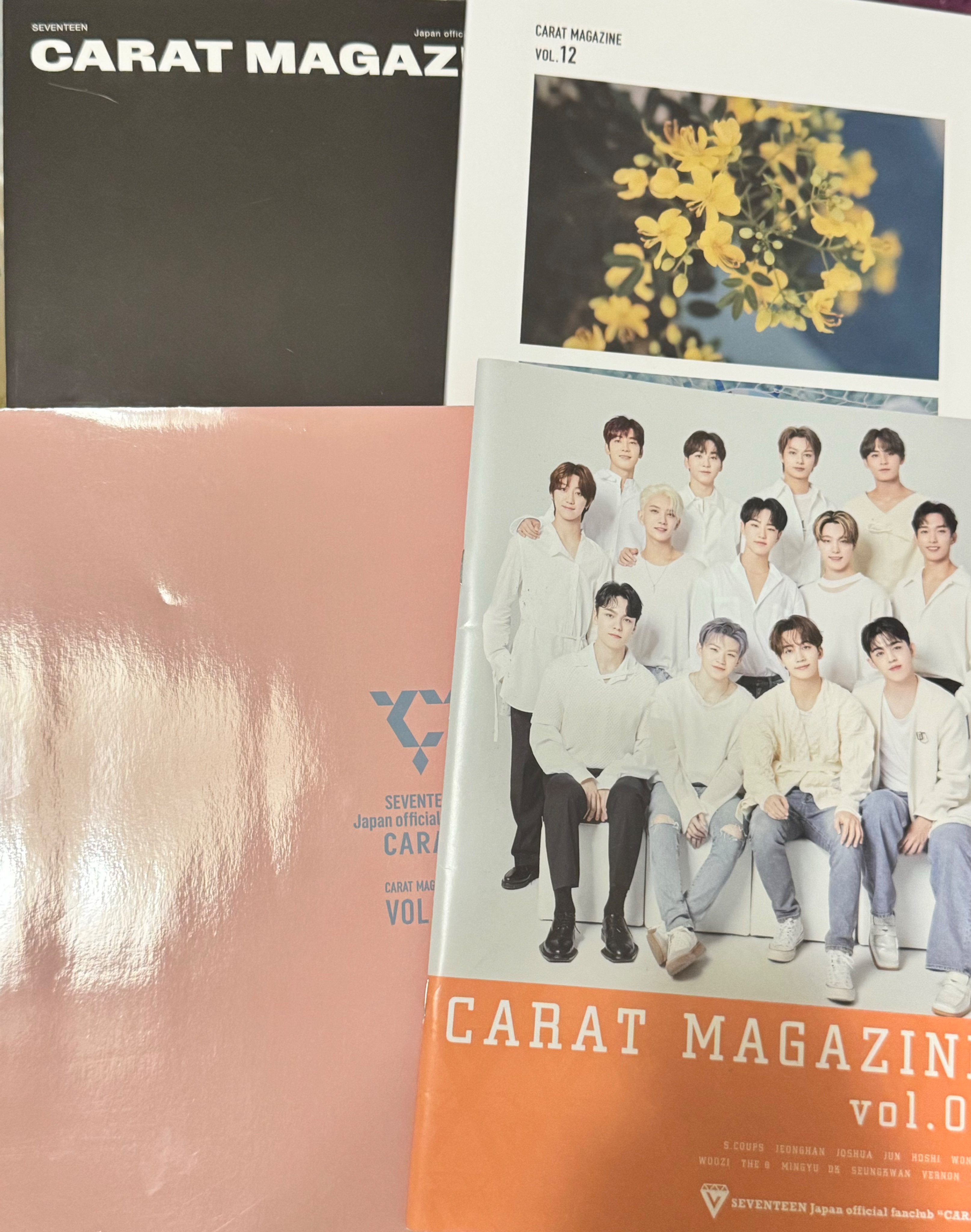 會員會刊9、11、12、13期不拆
