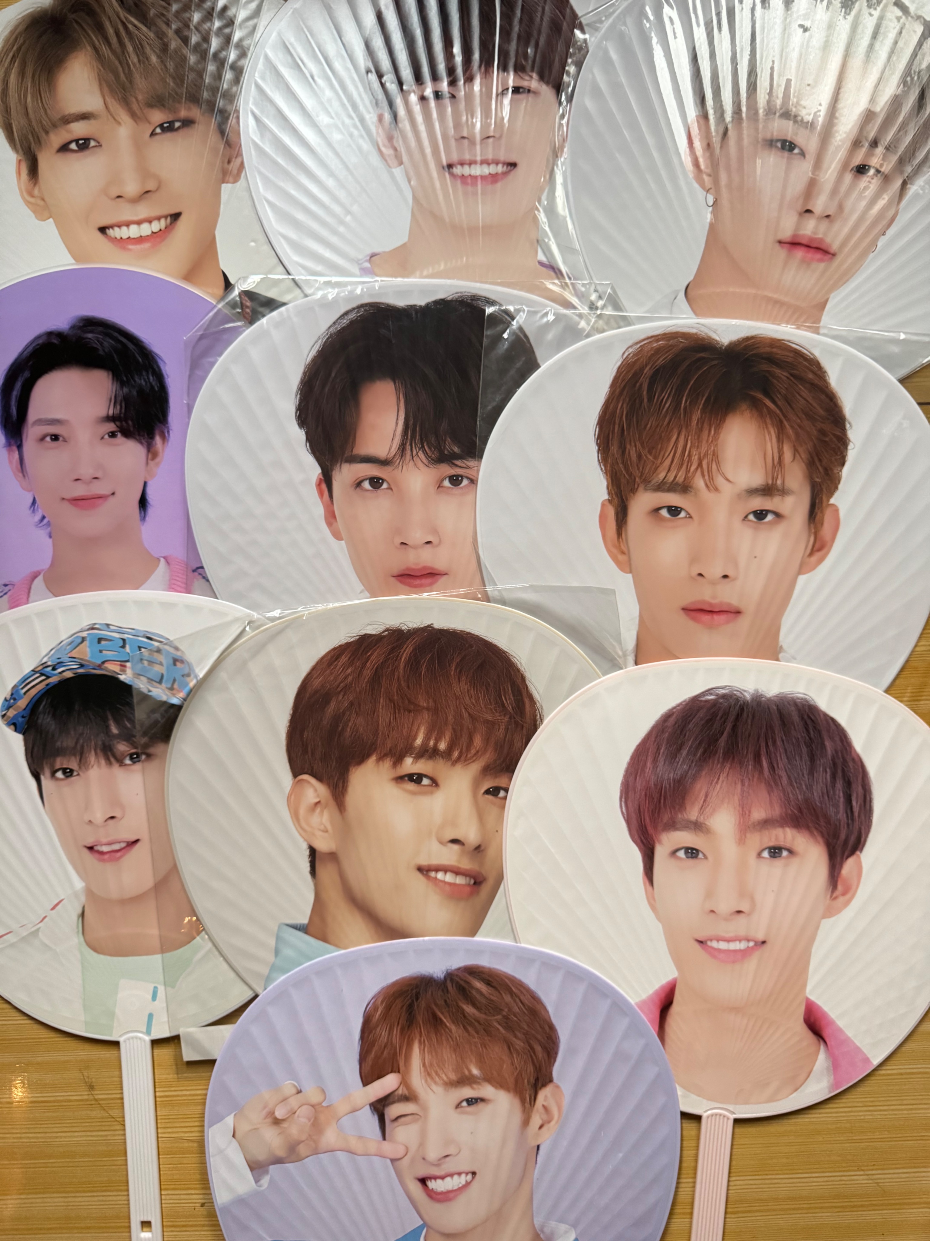 整圖10隻扇子（部分無原袋）