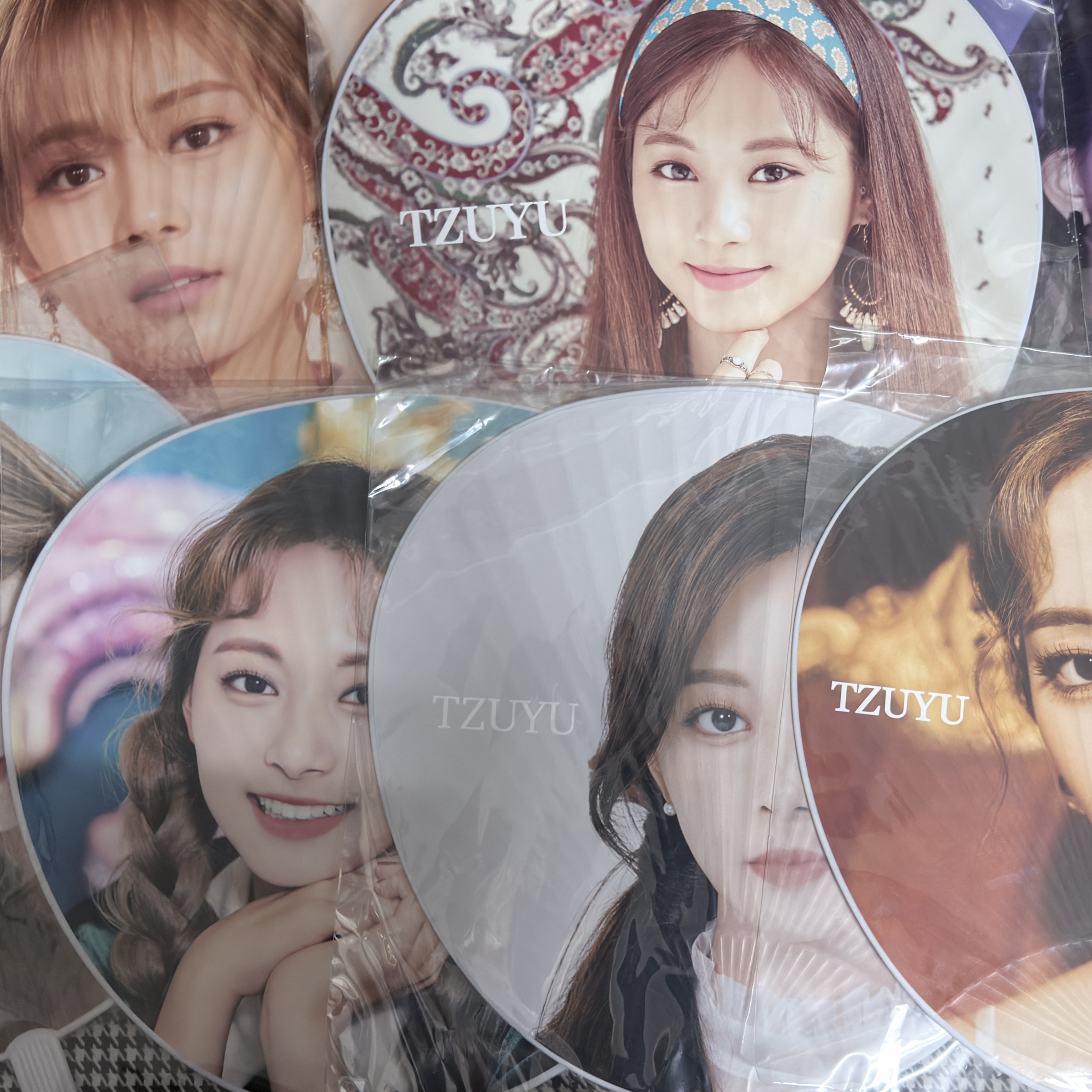 子瑜 日巡 大扇