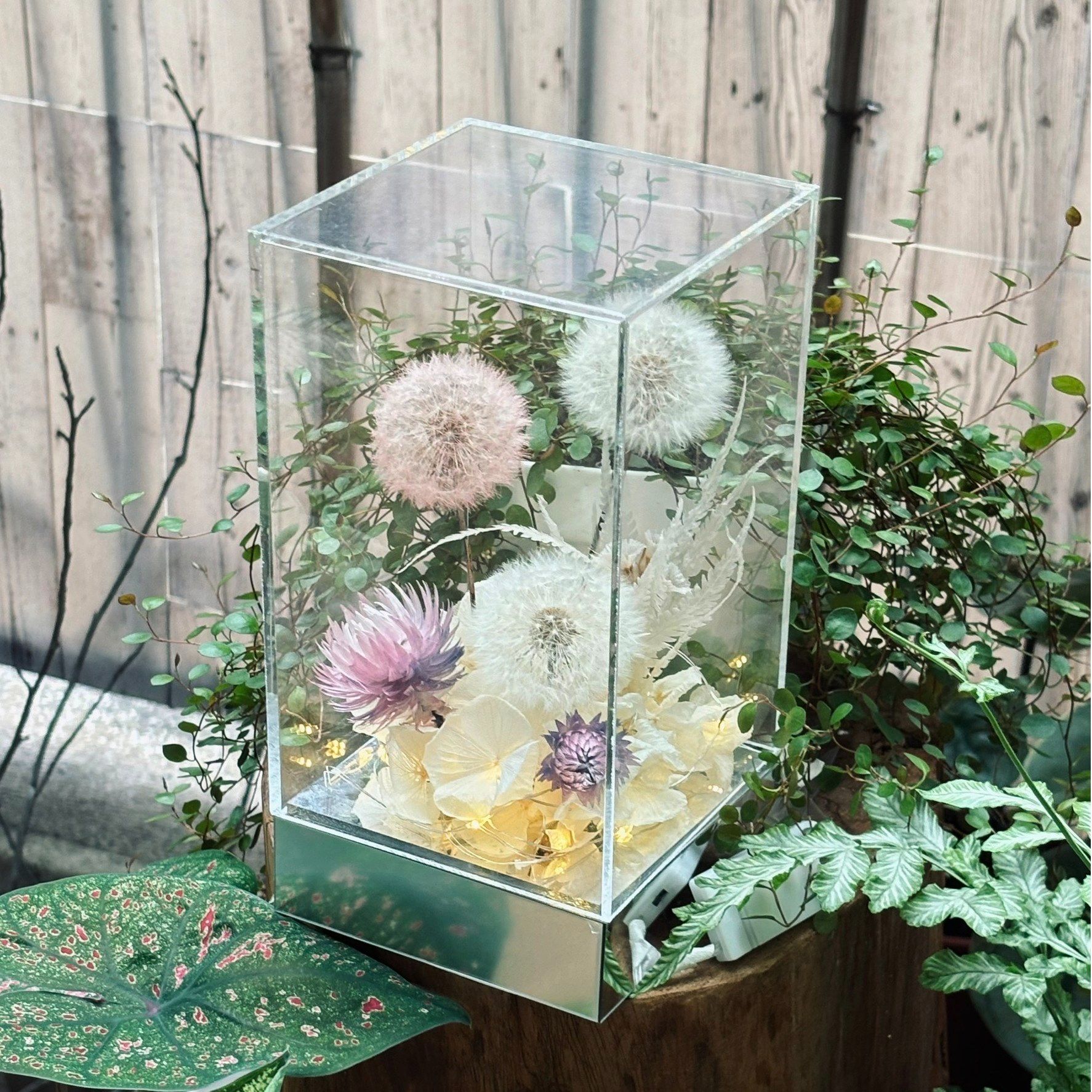 鏡面蒲公英花盅 夜燈 花燈