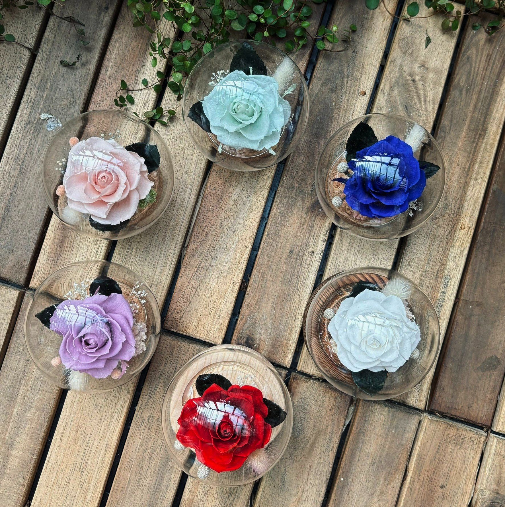 迷你小行星 小王子的玫瑰 花盅  玻璃球花盅