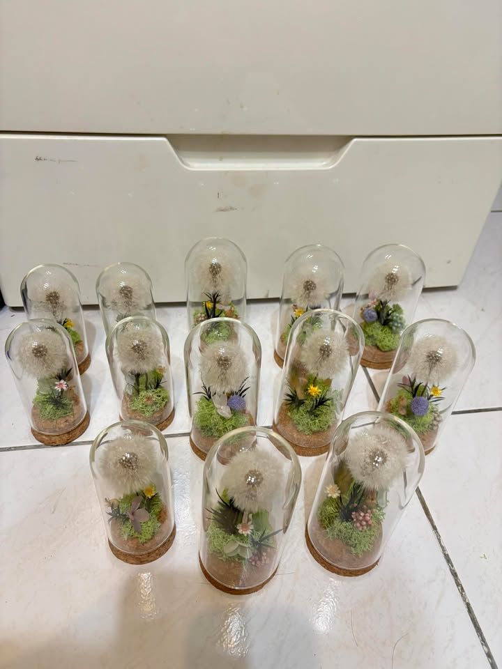 客訂蒲公英商品13組