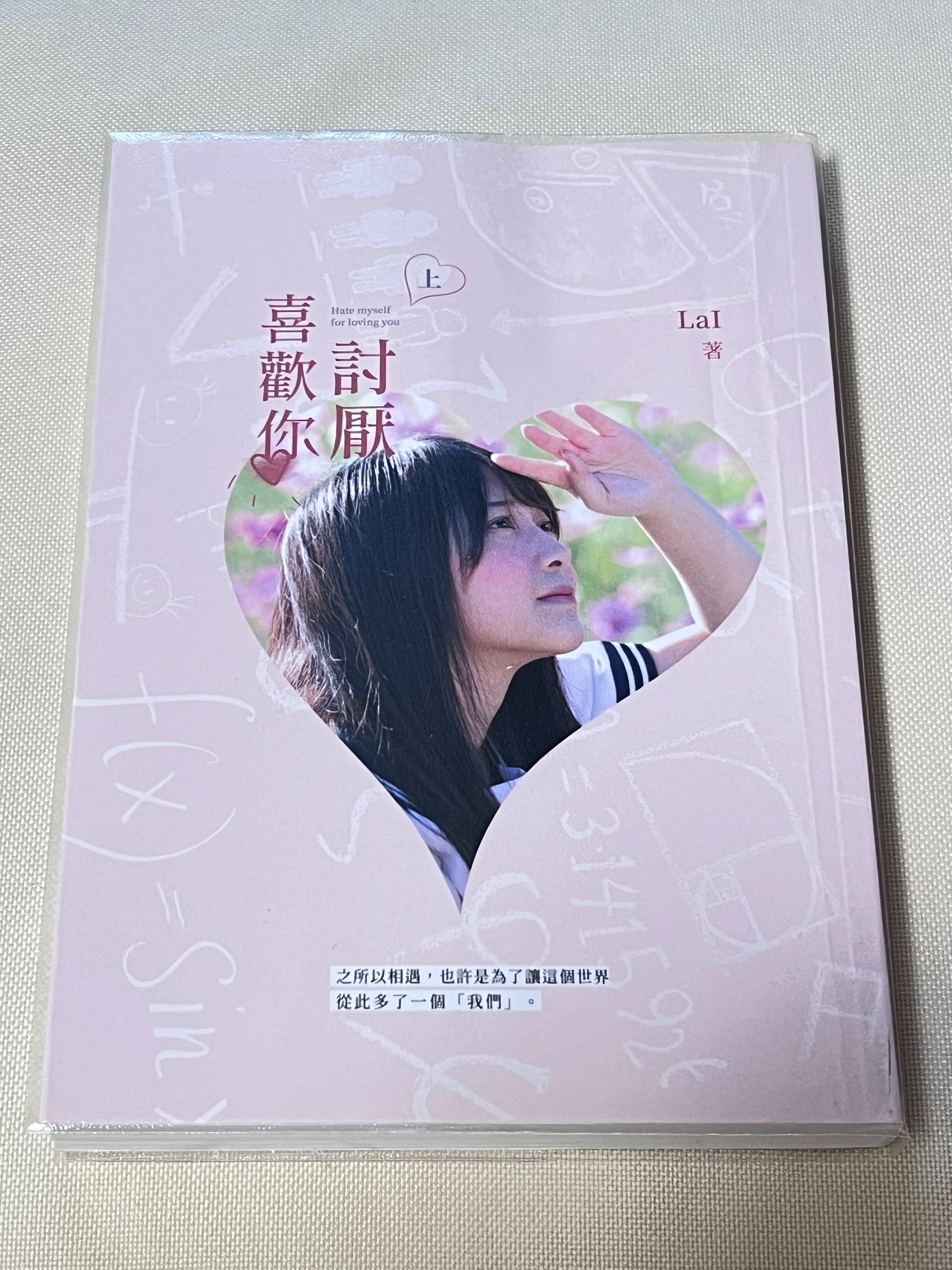 隨便亂亂賣 超便宜賣 22本