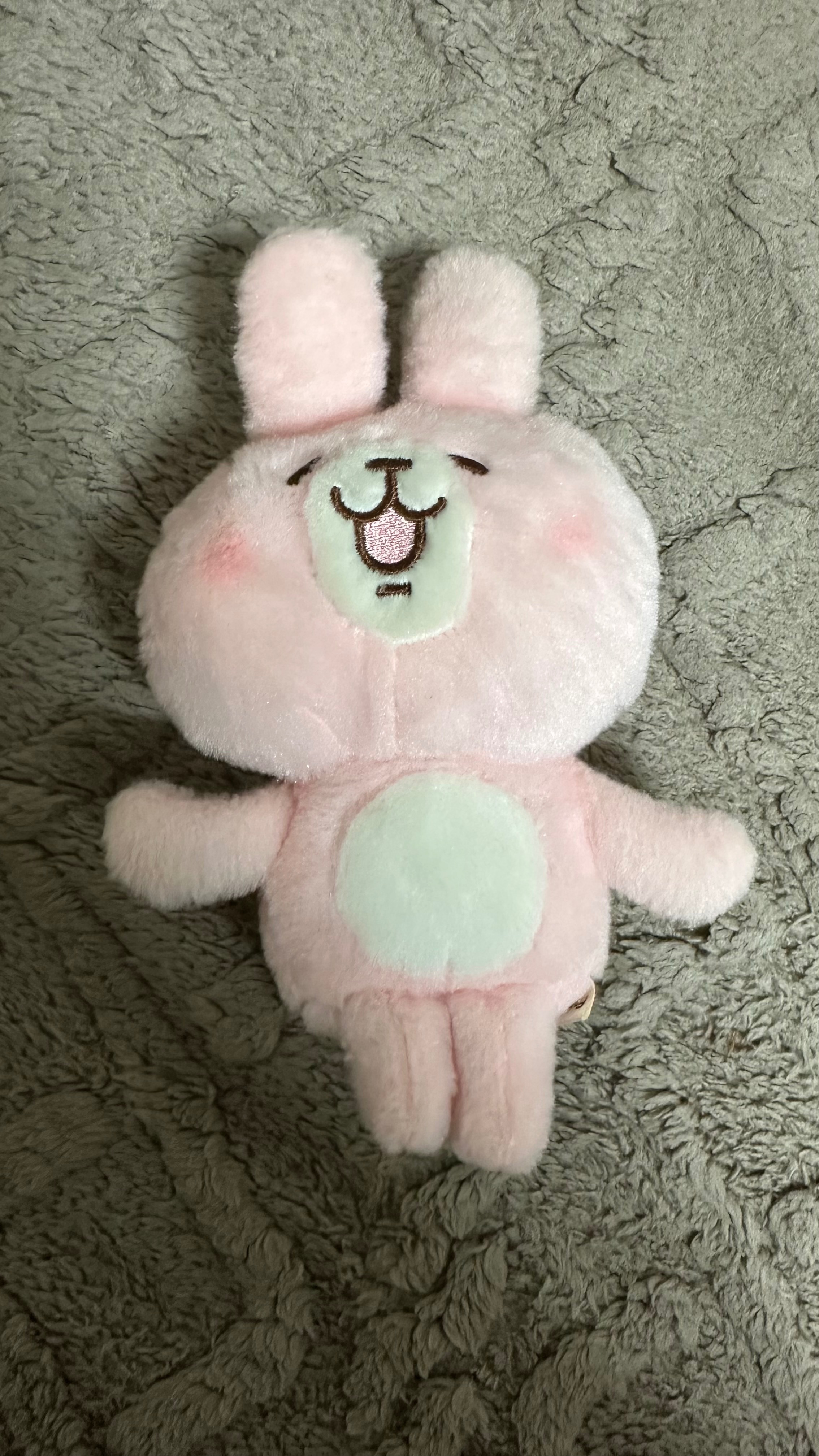其他物品