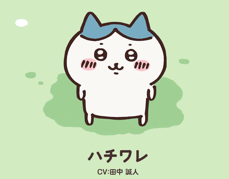 小八（ハチワレ）