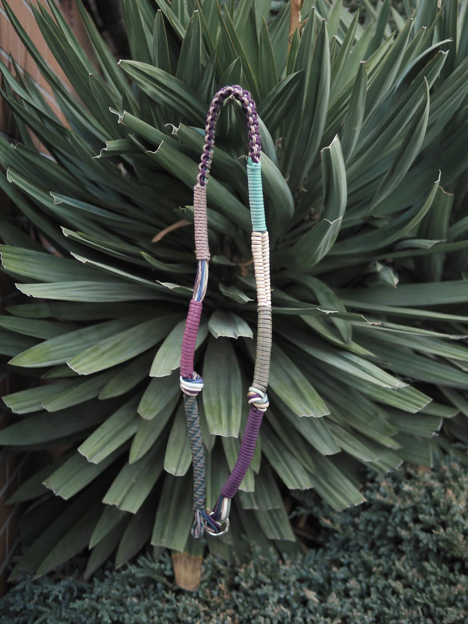 L-21 龍舌蘭糖果 𖣔𖣔 Purple X Brown