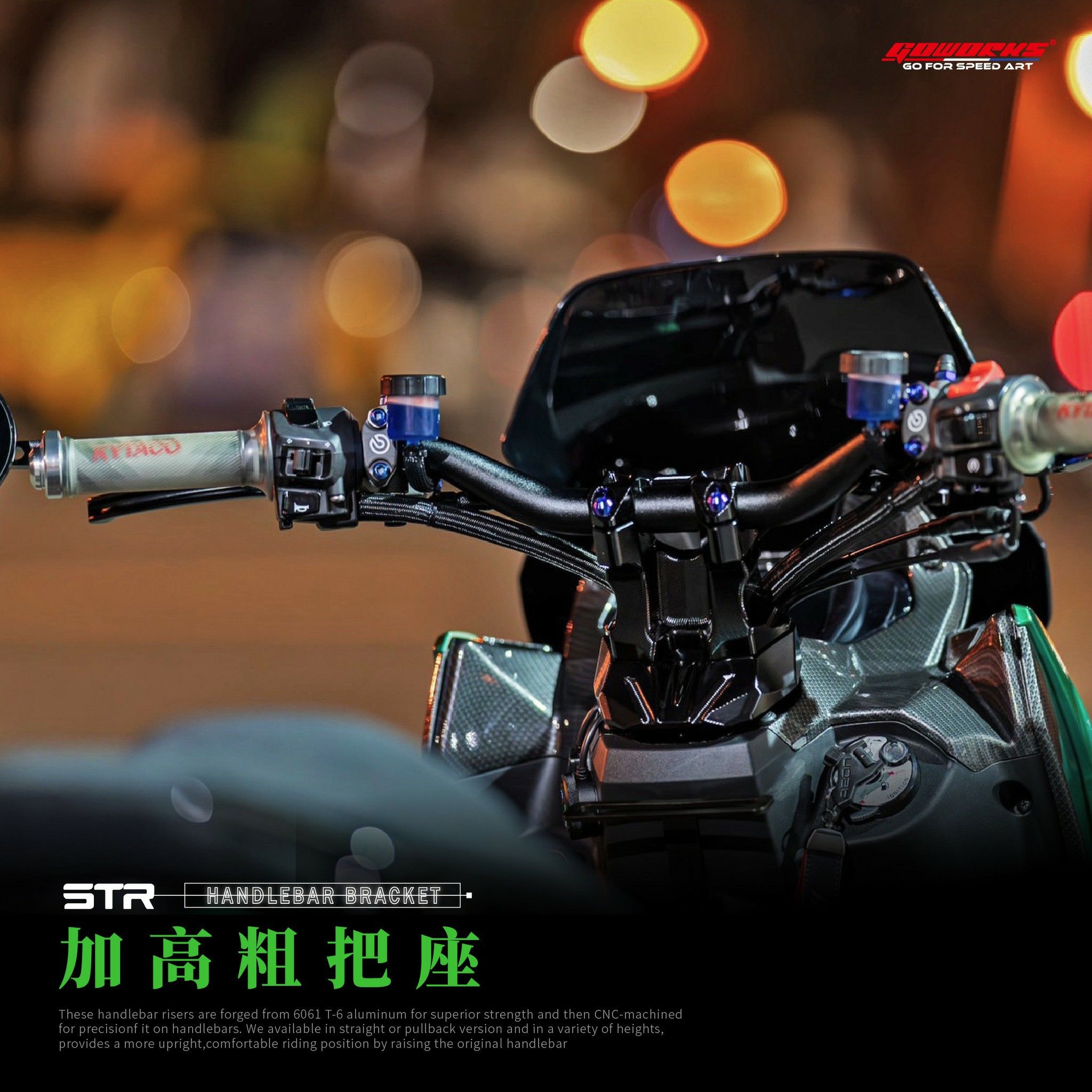 佐騰國際 STR 250 300 龍頭座 把座