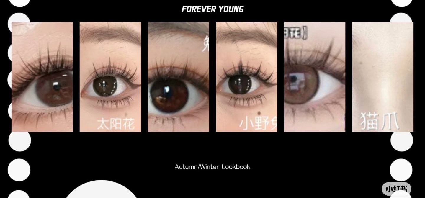 假睫毛推薦🫶🏻免膠假睫毛