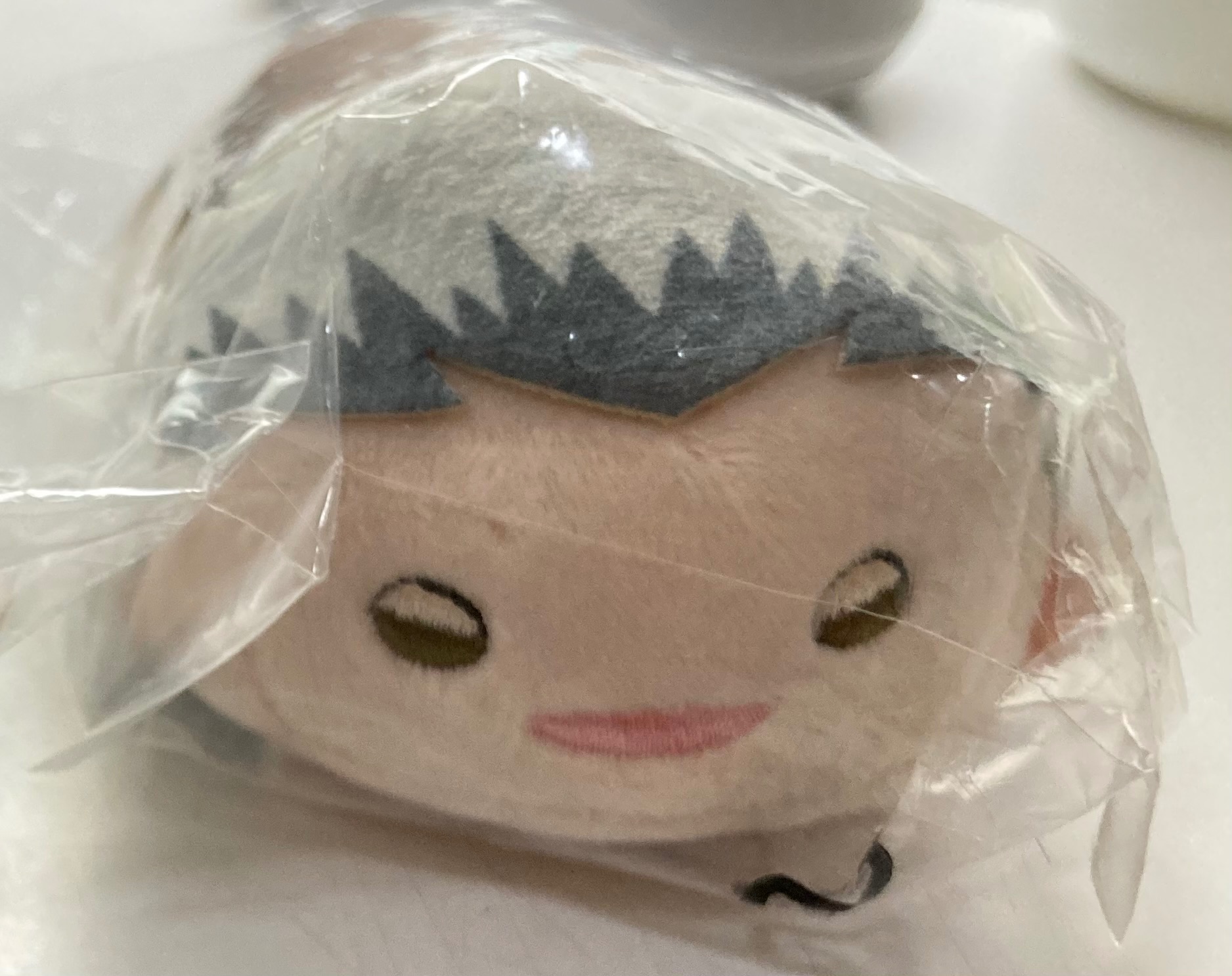 十週年木兔趴趴 全新未拆