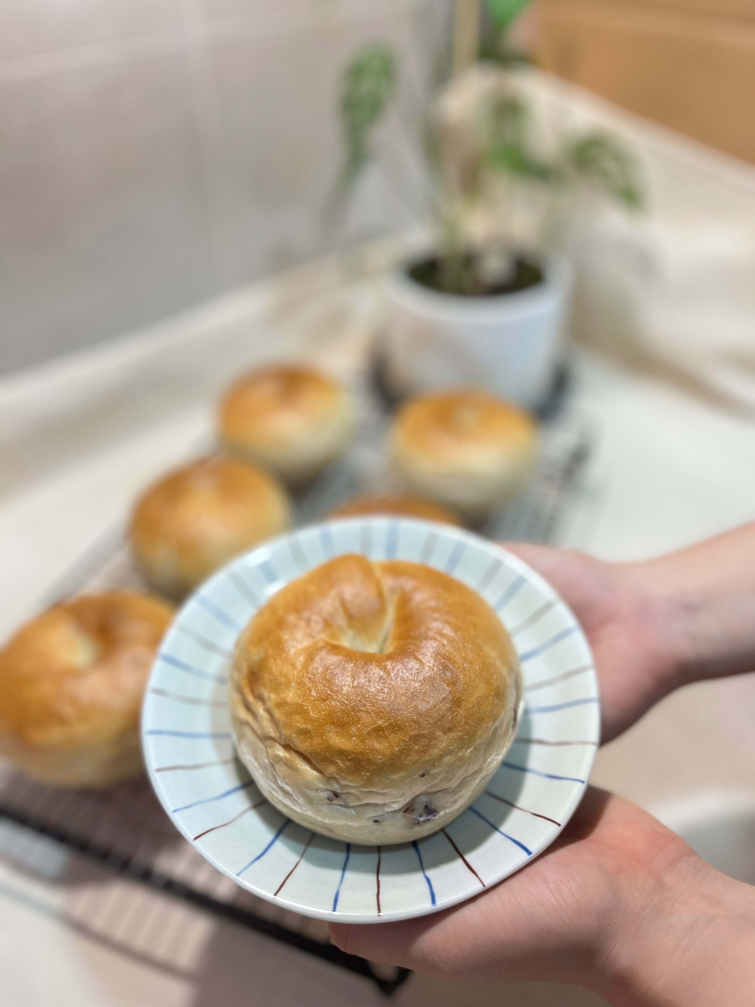 蔓越莓乳酪貝果
