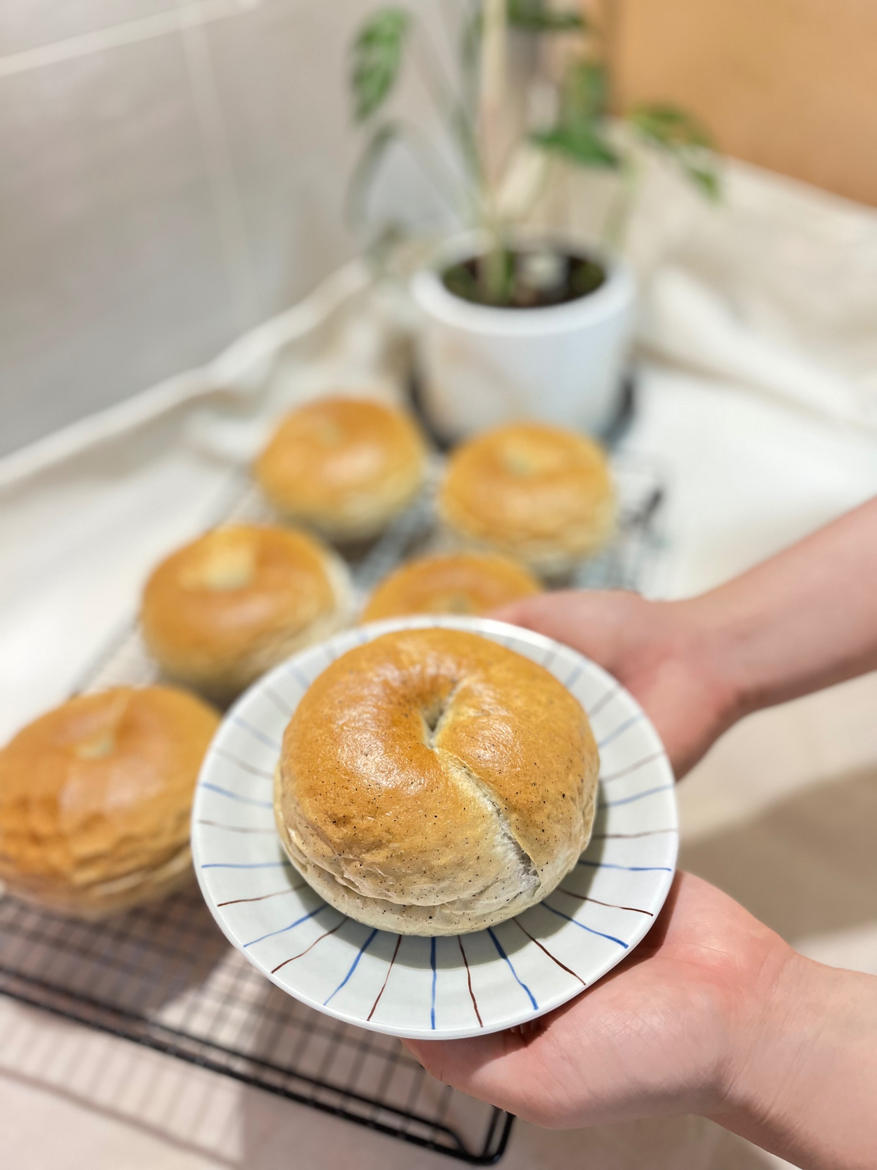 黑芝麻麻貝果