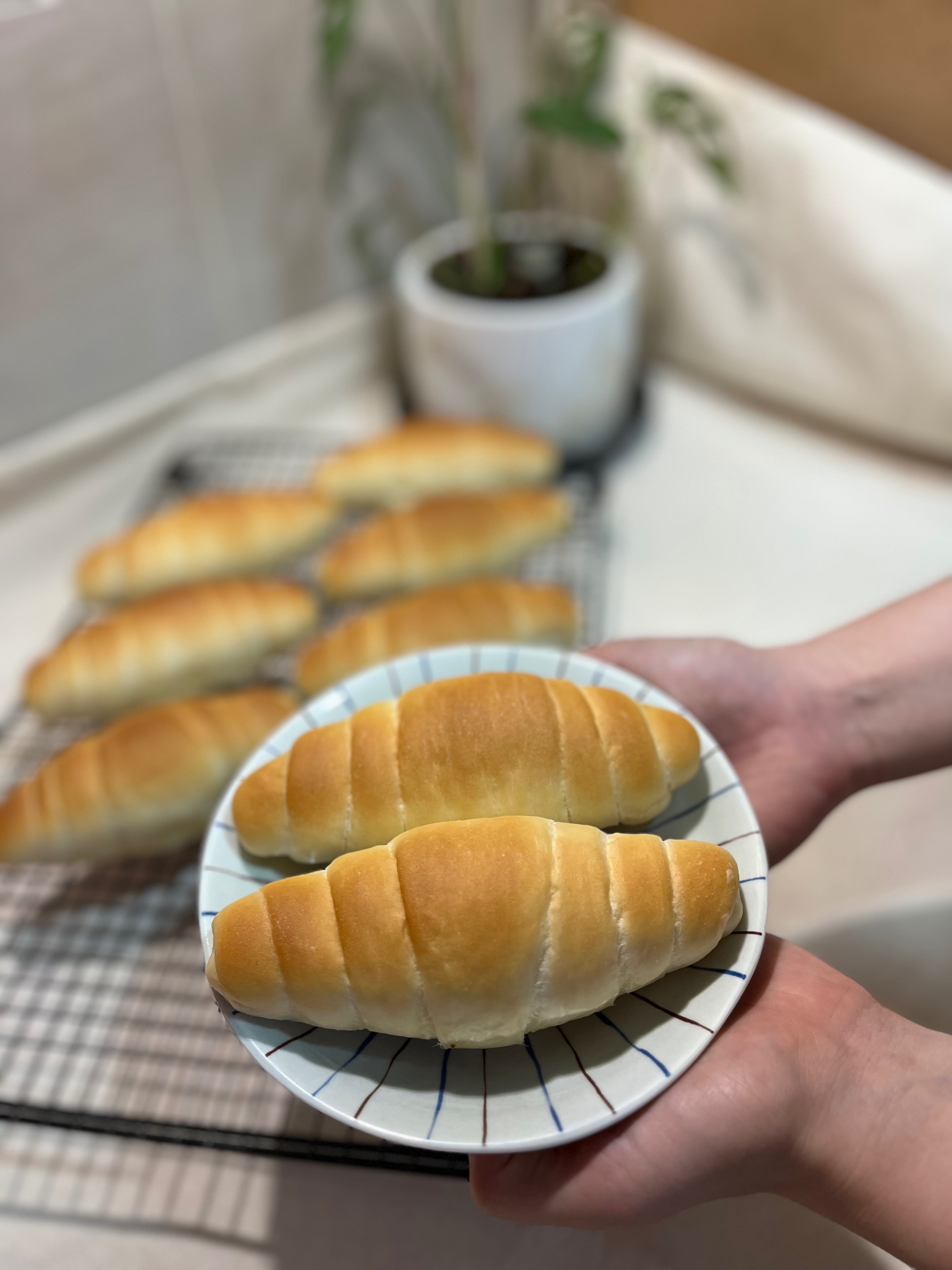 鹽味奶油捲
