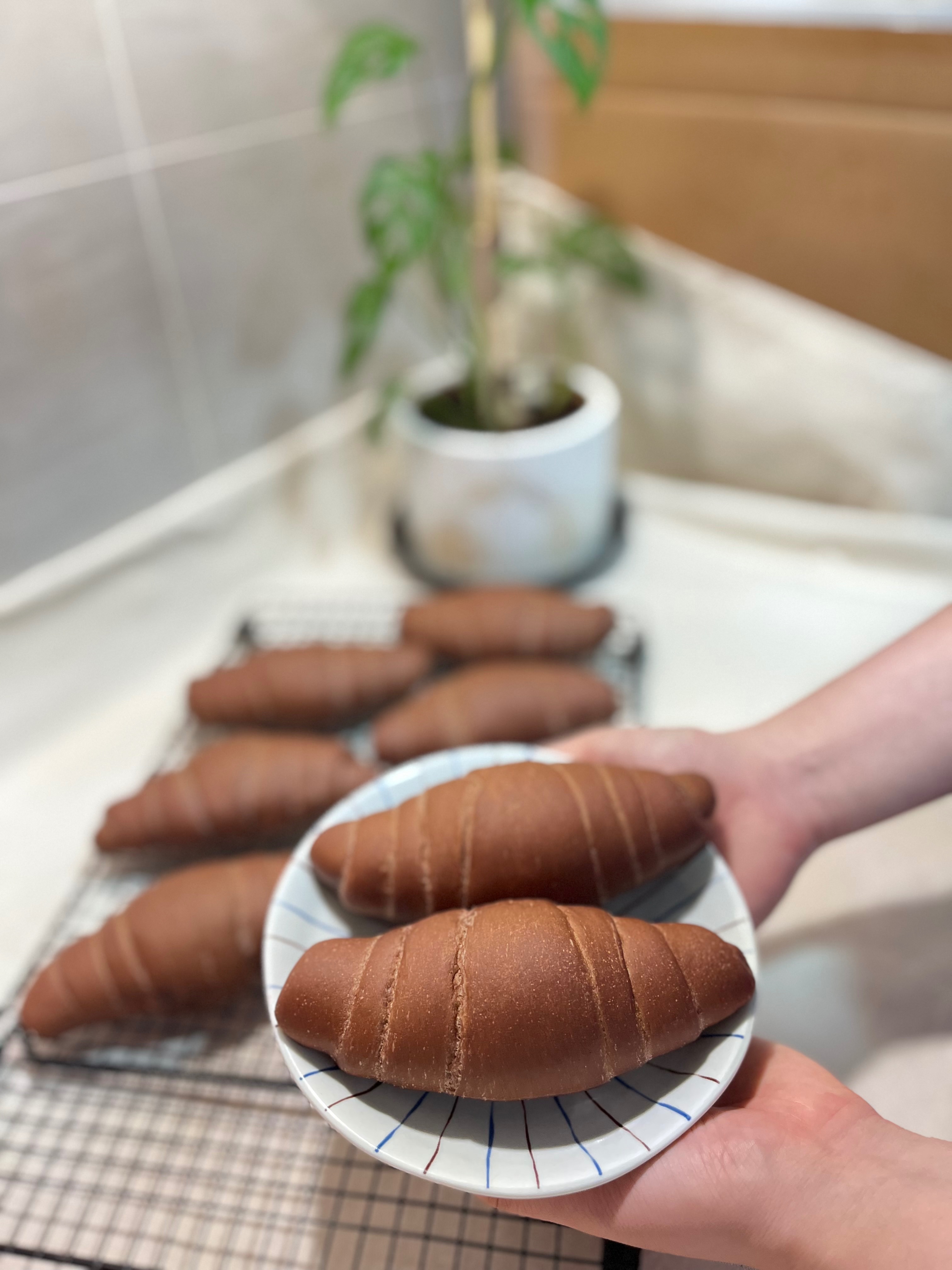 巧克力奶油捲