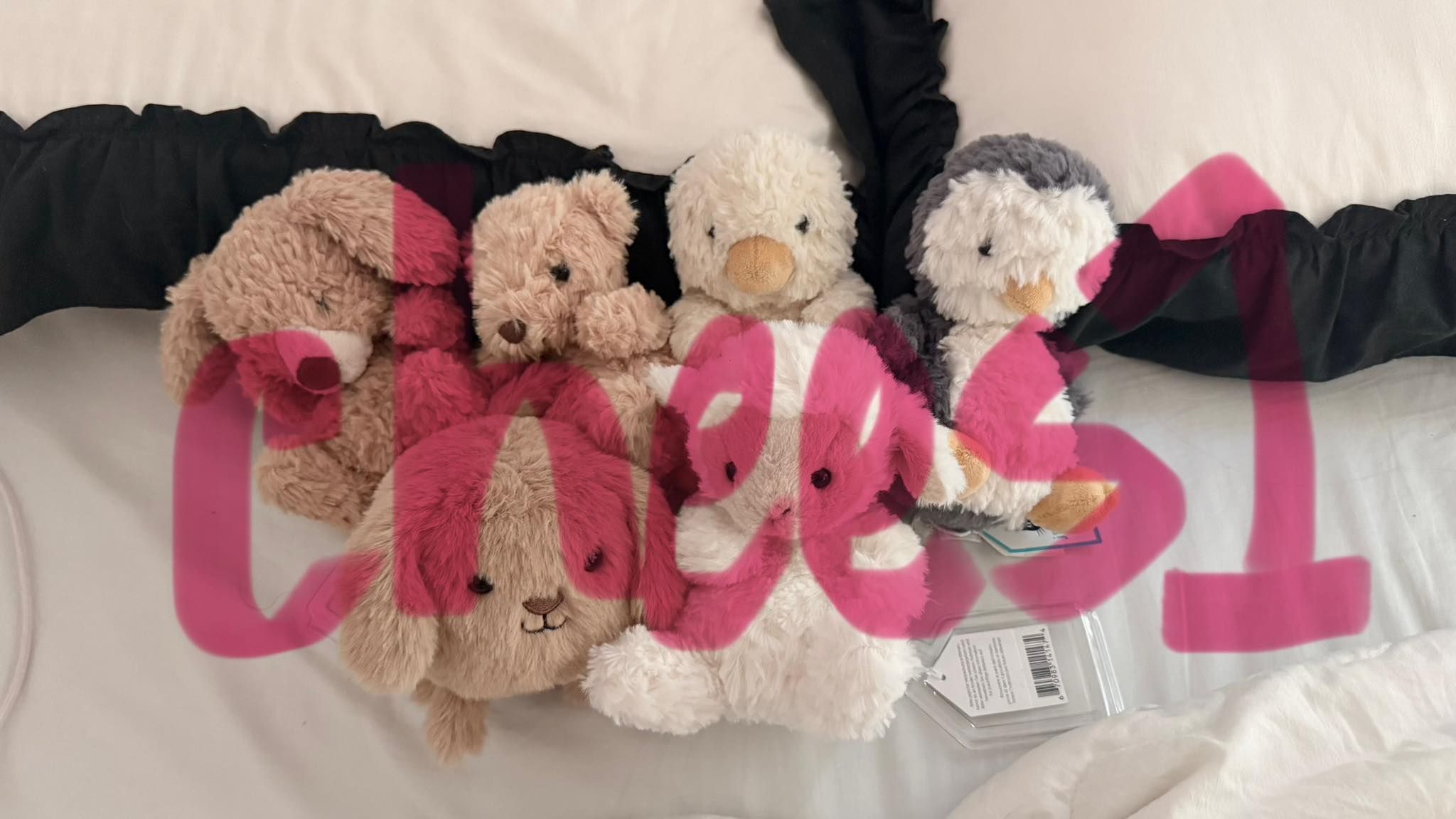 【Jellycat】（順序都由左到右）（來源：歐洲、英國二手、淘寶官方）