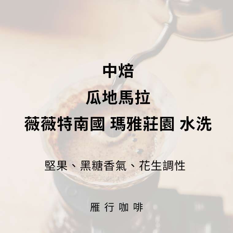 中焙 瓜地馬拉 瑪雅莊園 水洗