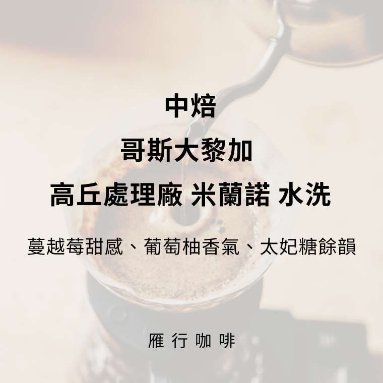 中焙 哥斯大黎加 米蘭諾 水洗