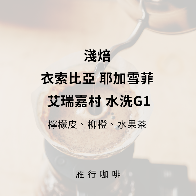 淺焙 衣索比亞 耶加雪菲 艾瑞嘉村 水洗G1