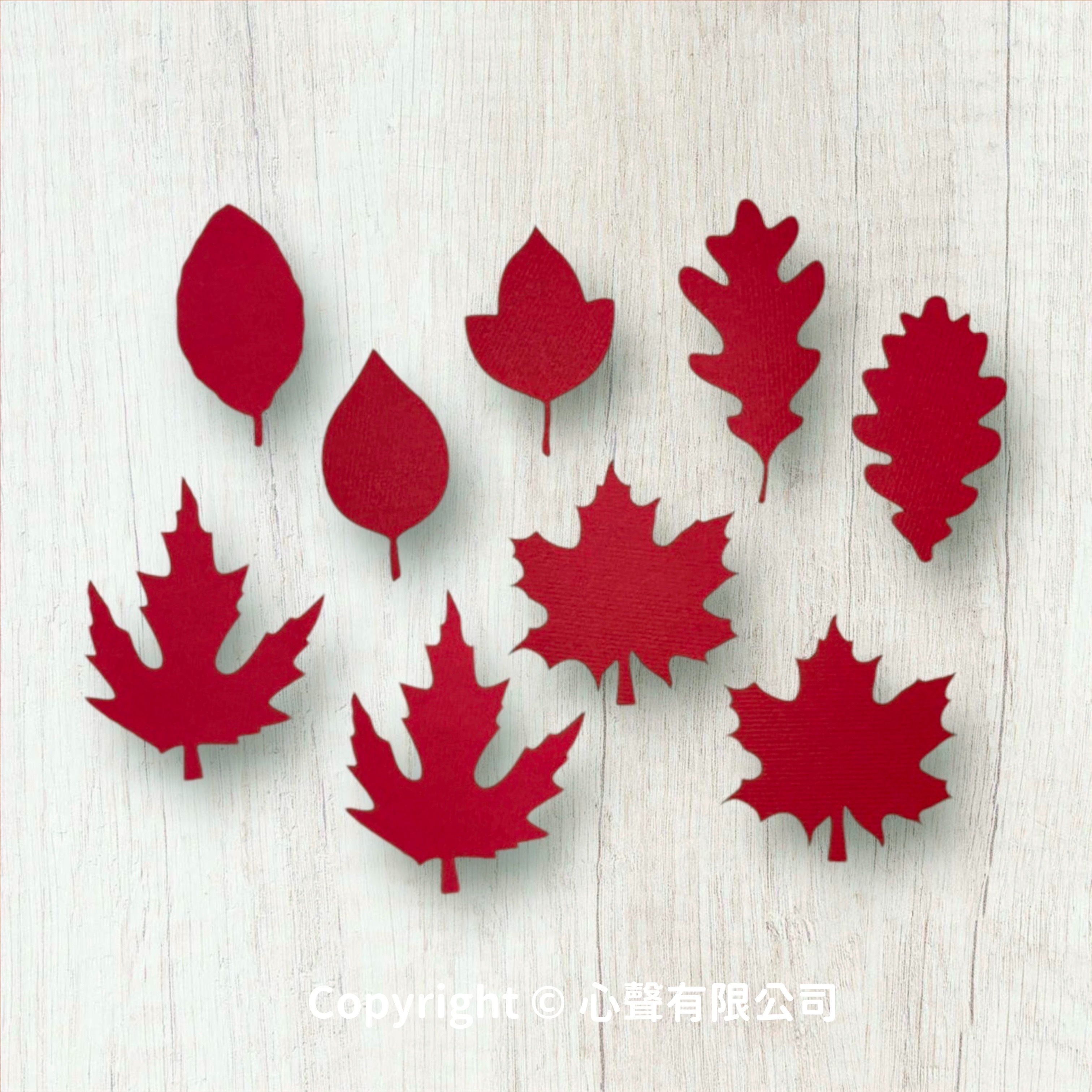 【現貨】秋季手作必備 暖色調樹葉（共五色）