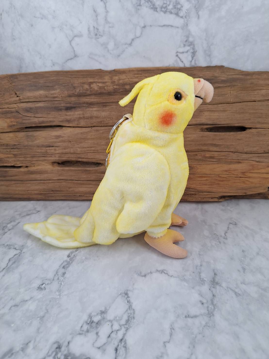 玄鳳鸚鵡零錢包