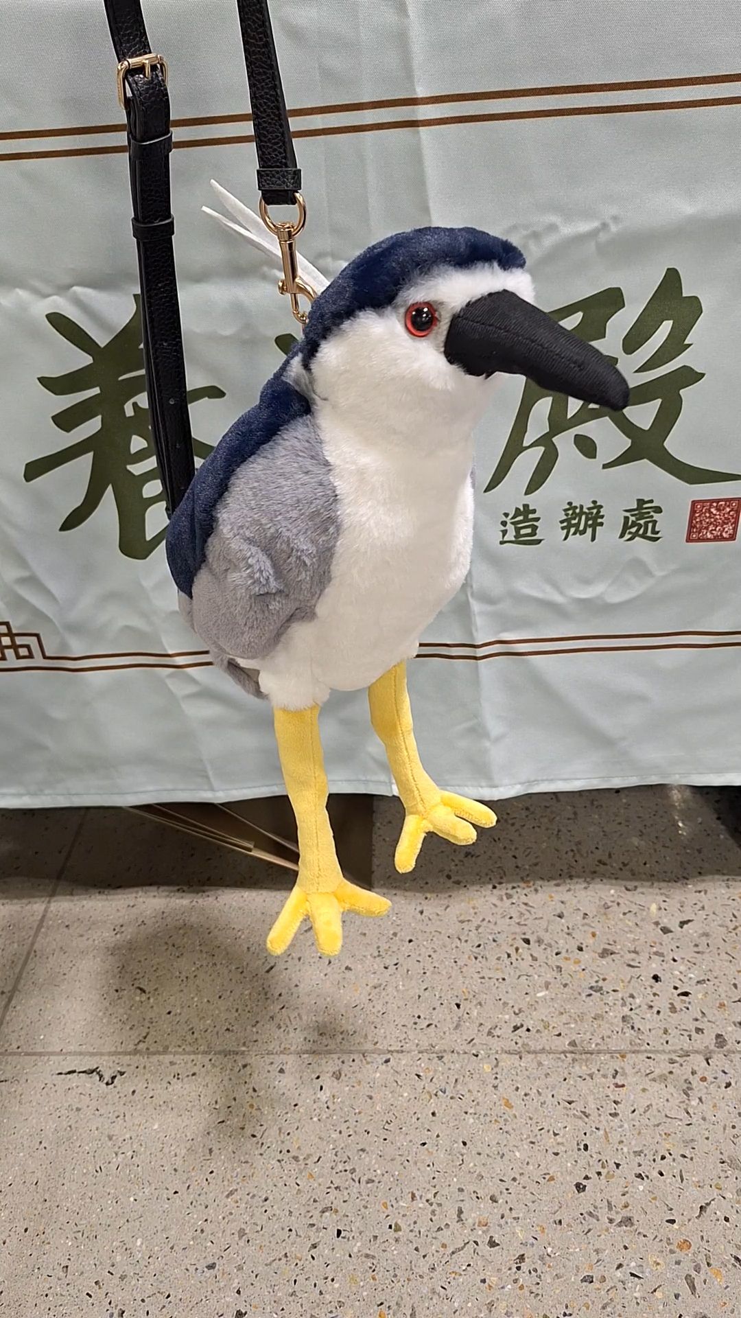 夜鷺娃包
