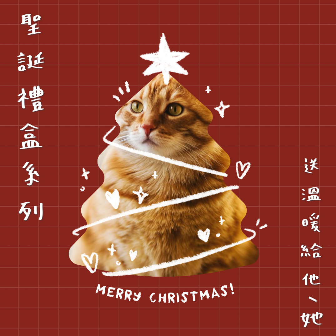 🎄聖誕禮盒🎁