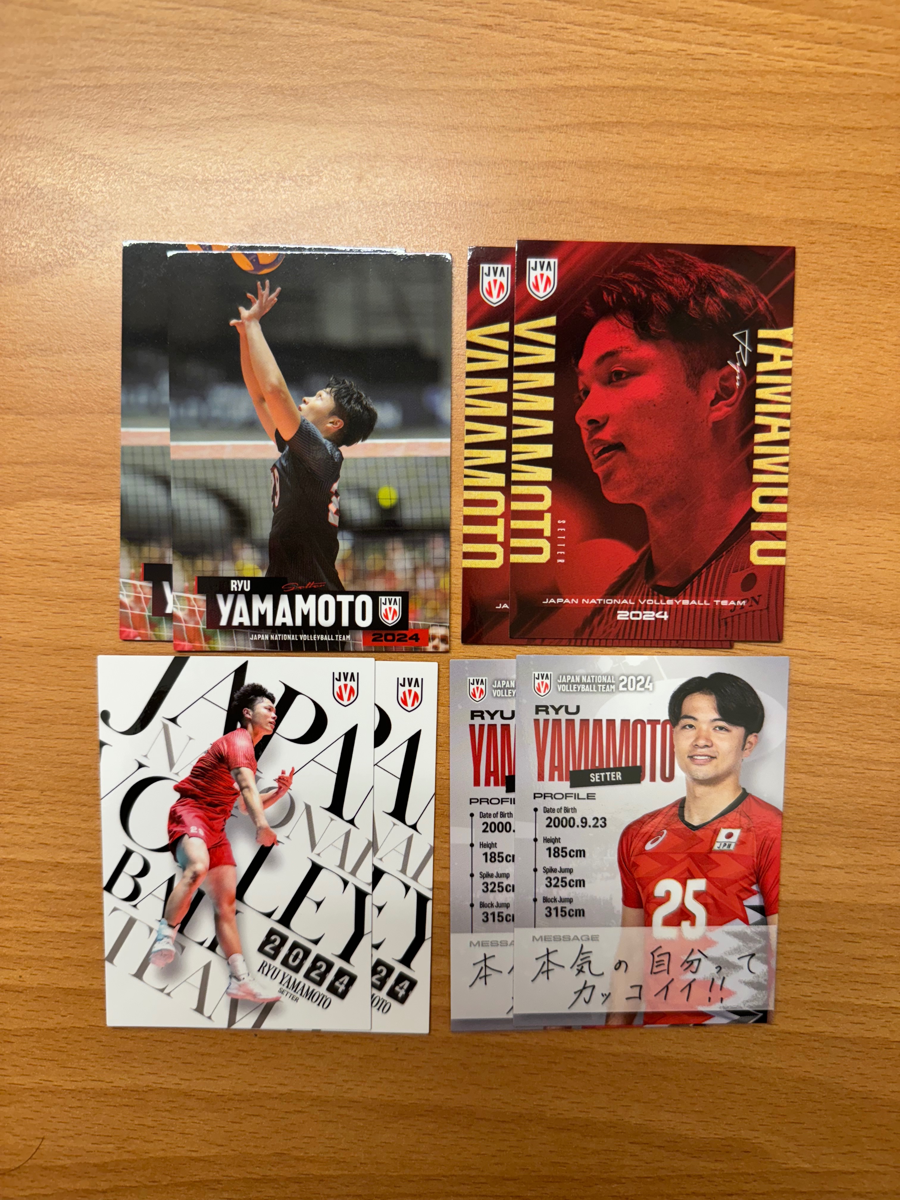 山本龍set