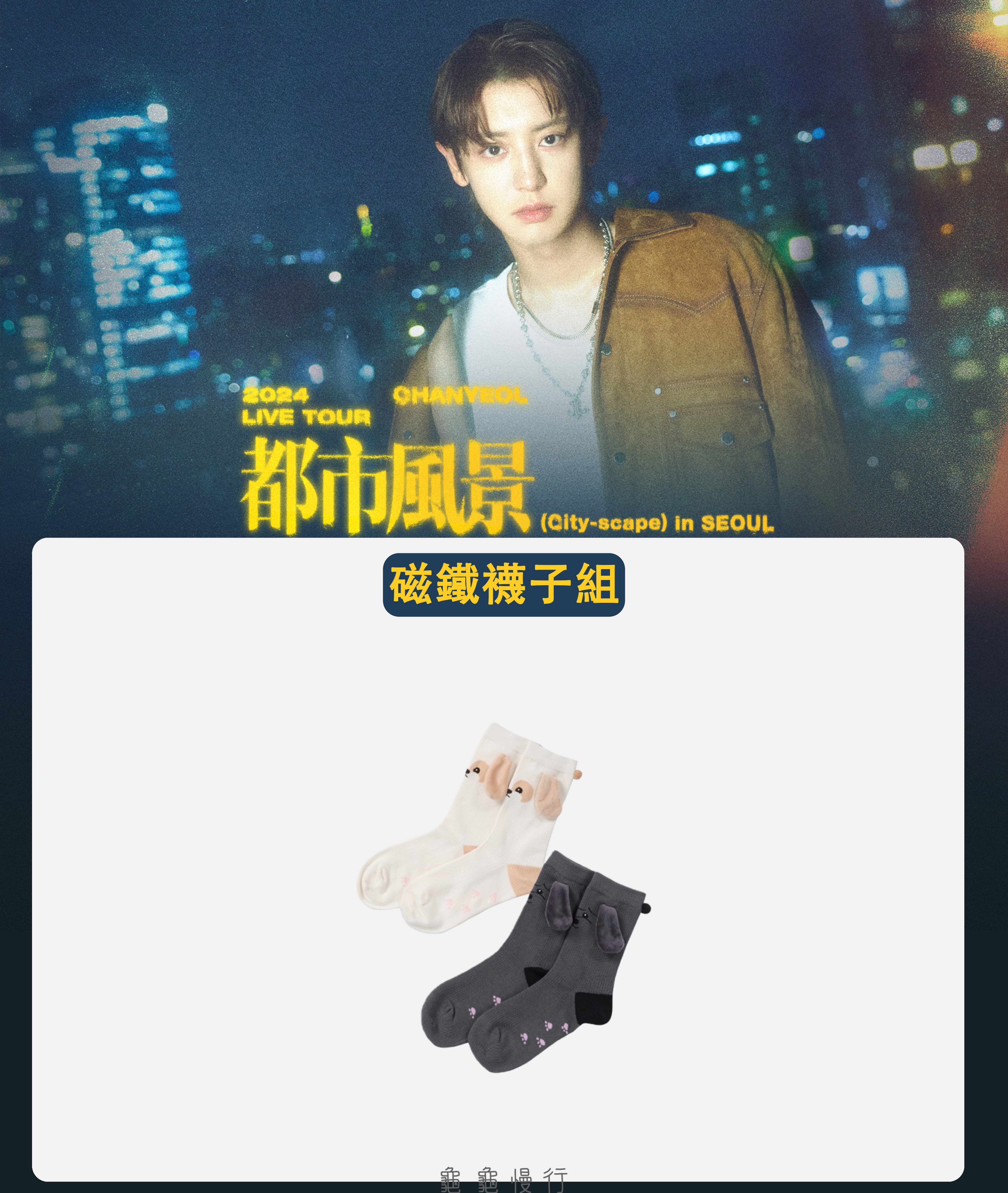 🐢【預購中】2024 CHANYEOL LIVE TOUR _都市風景 官方周邊-磁鐵襪子組🐢