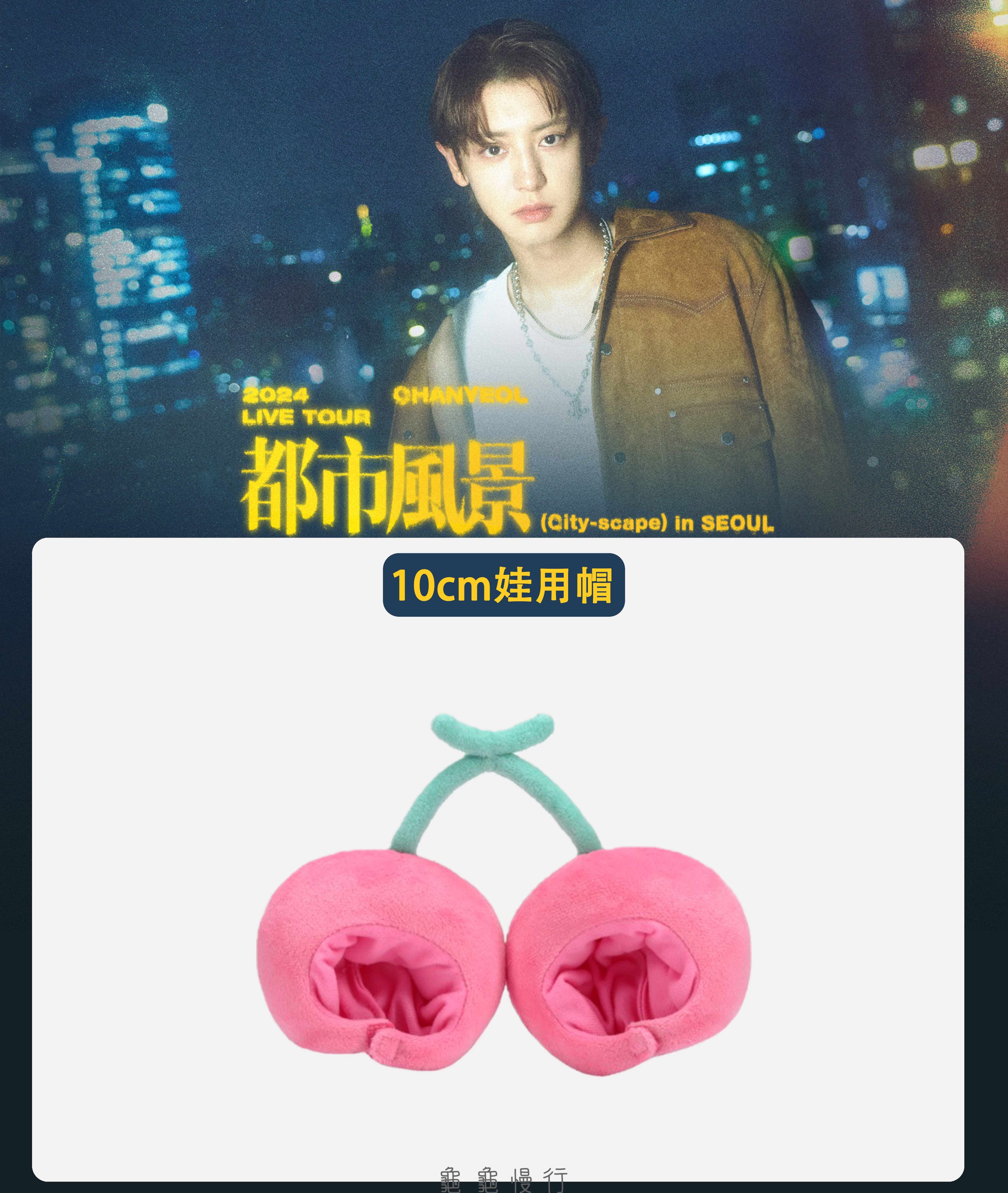 🐢【預購中】2024 CHANYEOL LIVE TOUR _都市風景 官方周邊-10cm娃用帽🐢