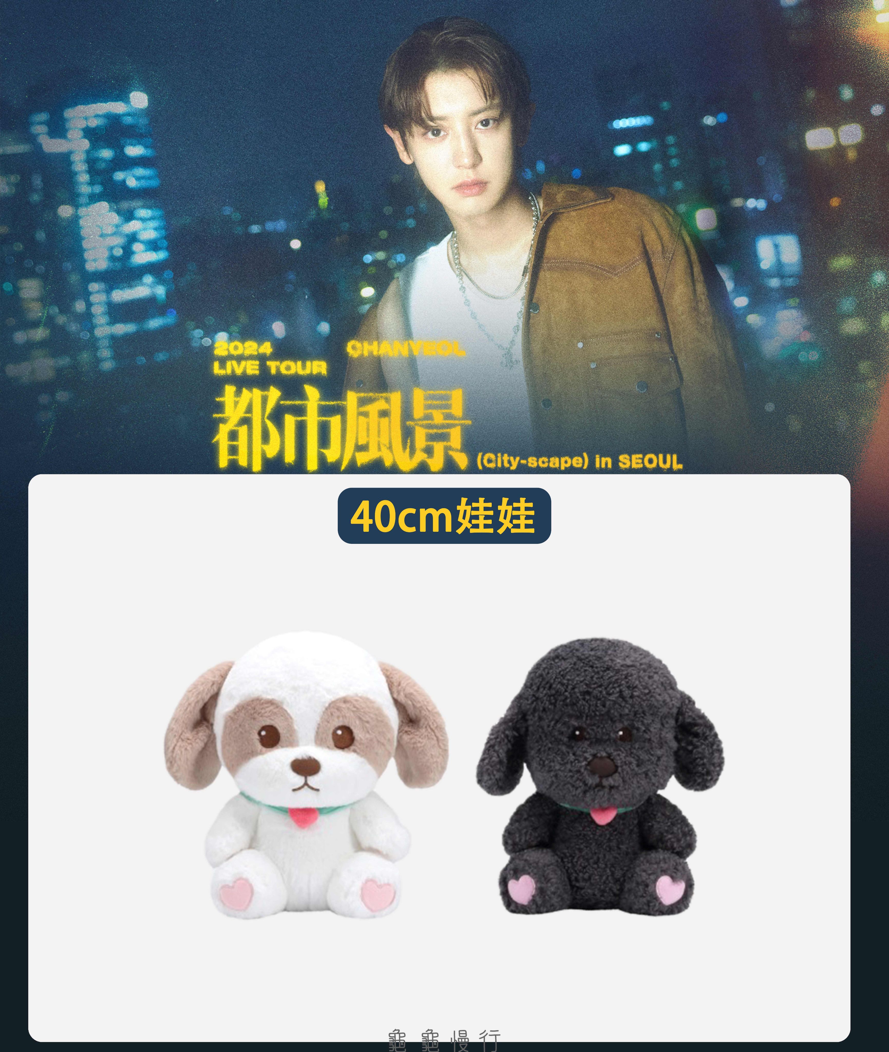 🐢【預購中】2024 CHANYEOL LIVE TOUR _都市風景 官方周邊-40cm娃娃🐢