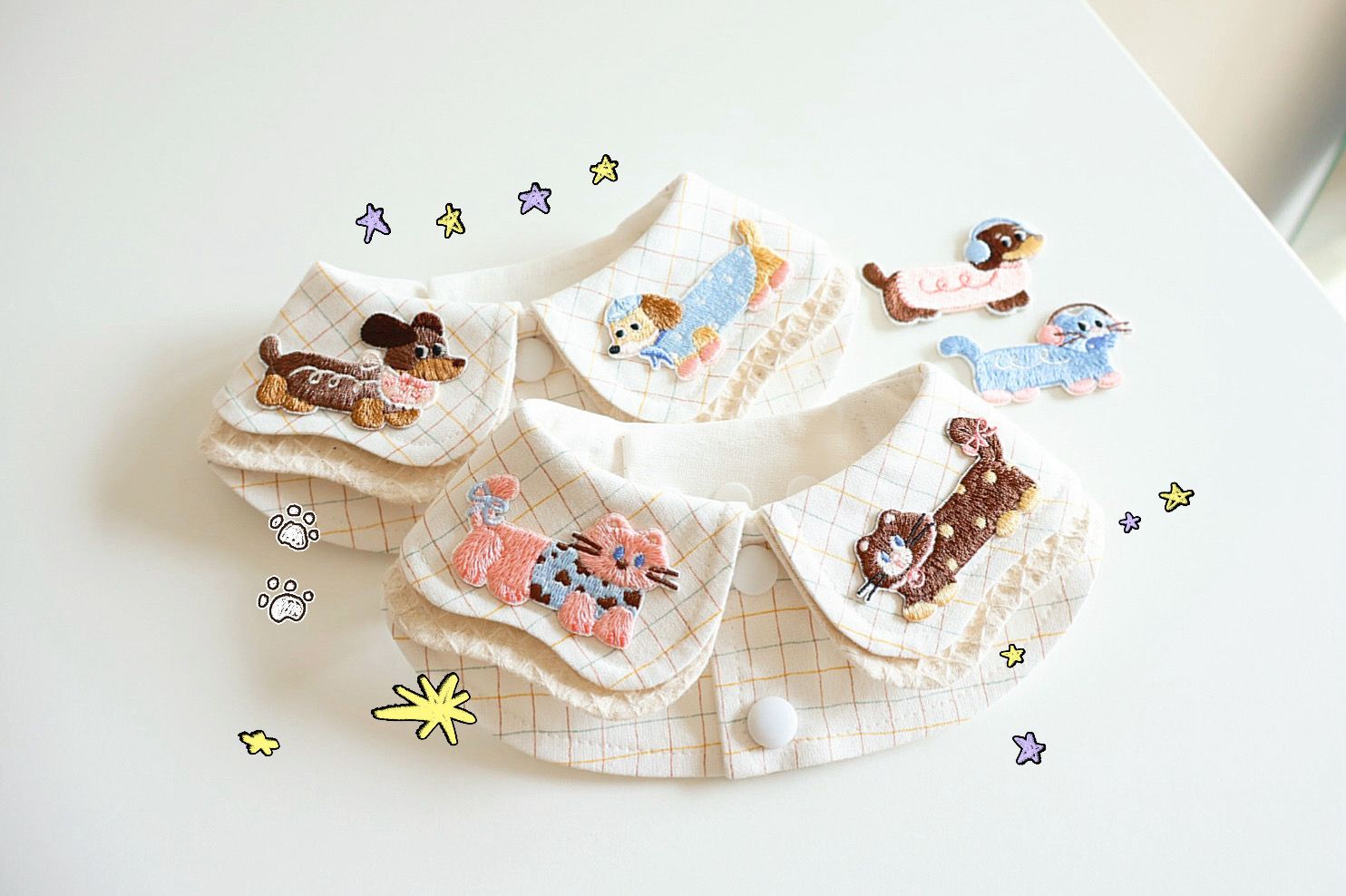 貓狗大戰🐱🐶