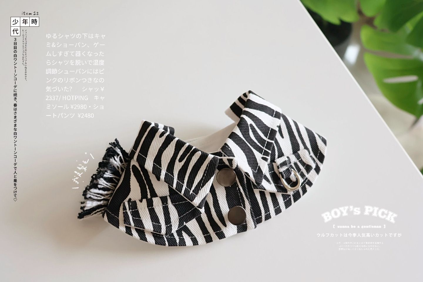 🦓馬尼馬尼Money🦓