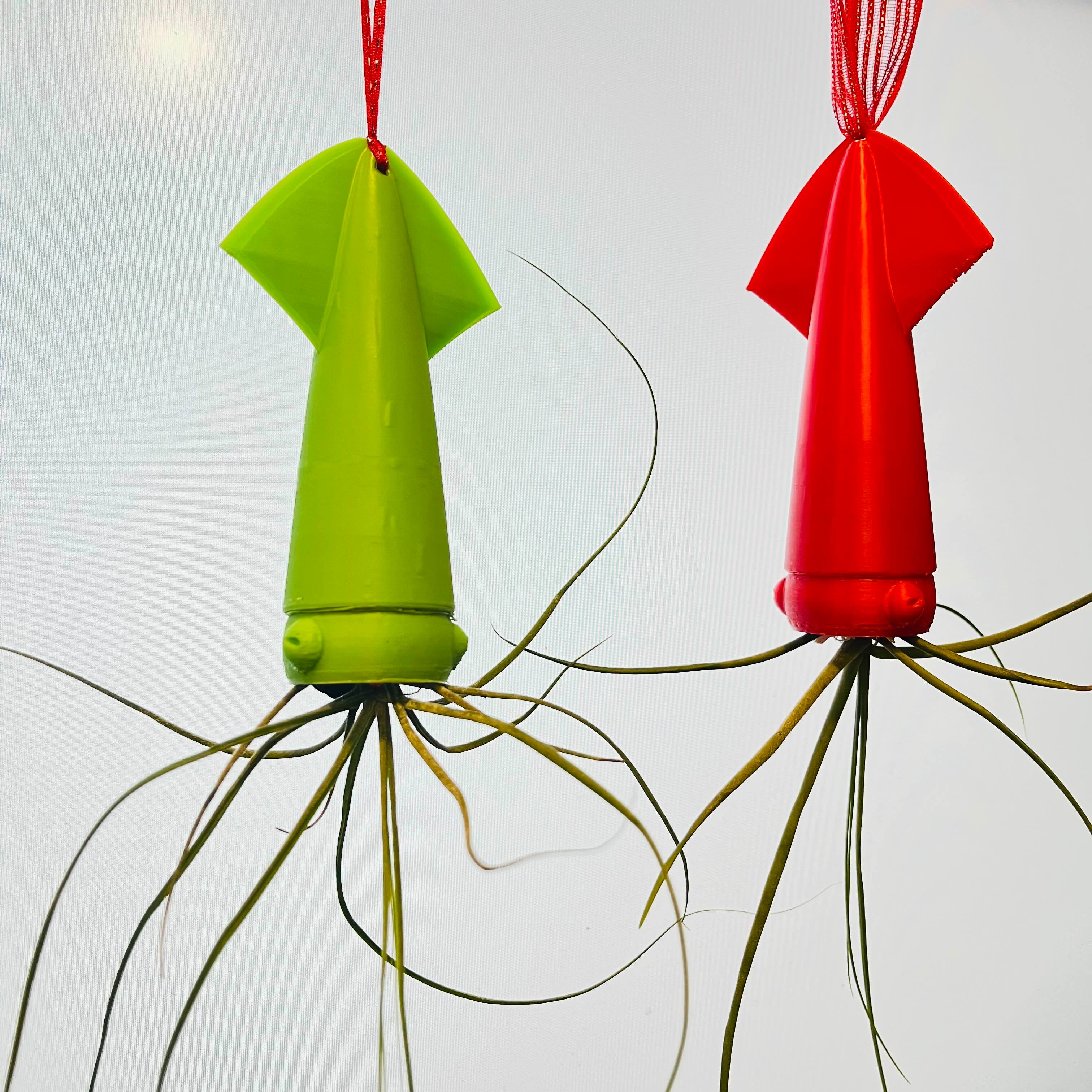 🪴【植栽用品】3D 列印愛情大魷魚懸掛盆栽，空氣鳳梨！