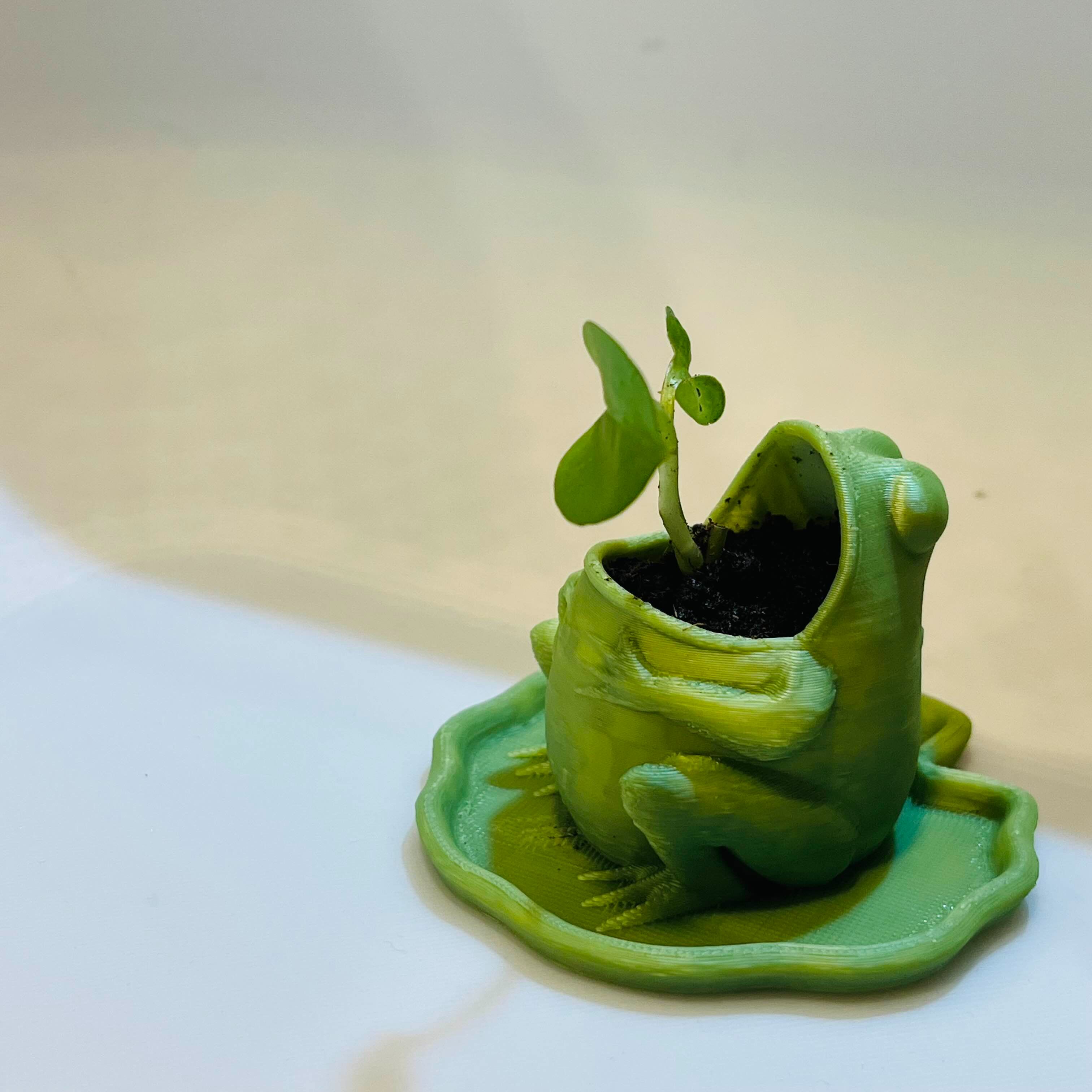 🪴【植栽用品】3D 列印愛情血盆大口青蛙盆栽！