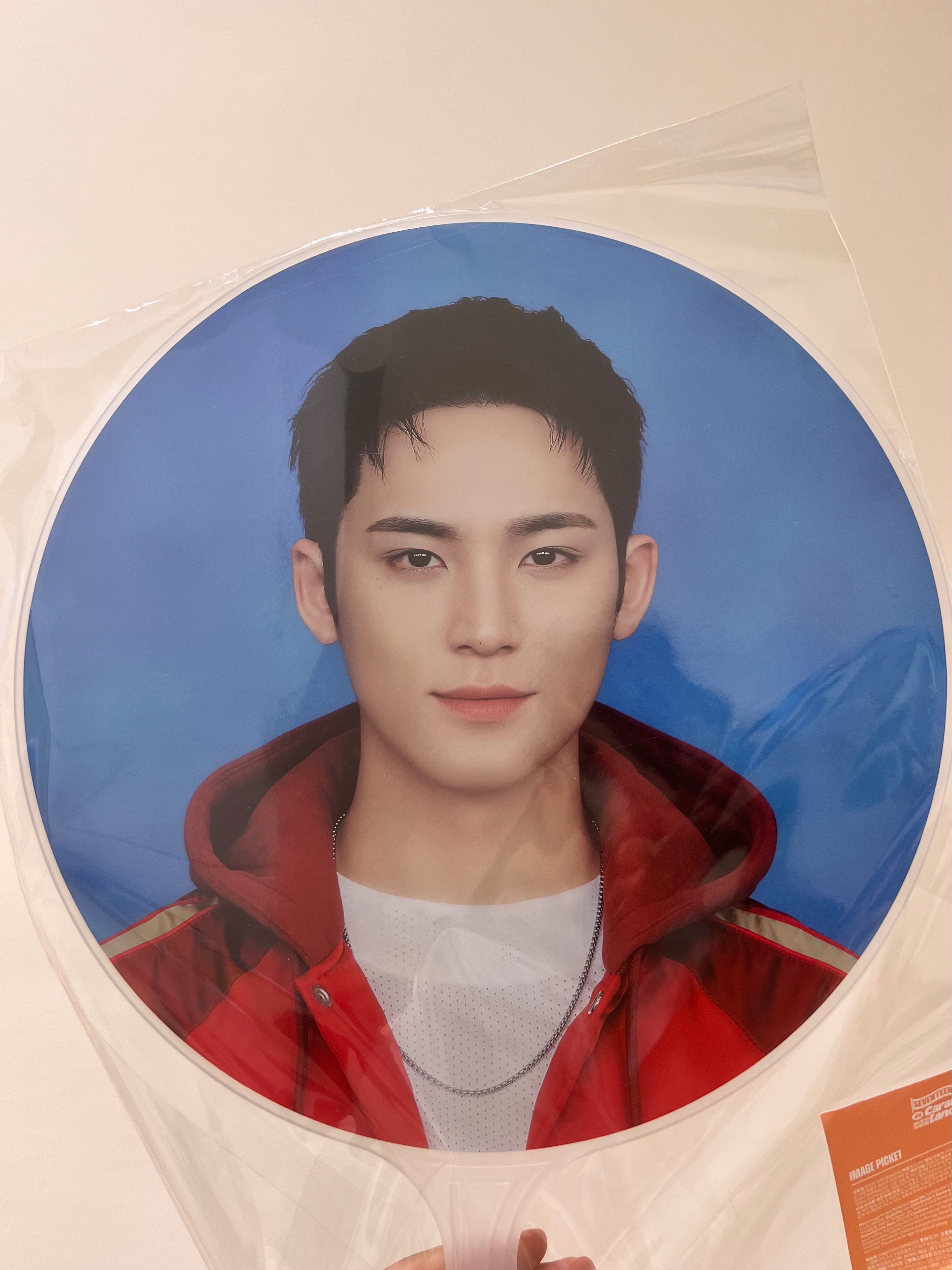 大扇小扇落玉盤