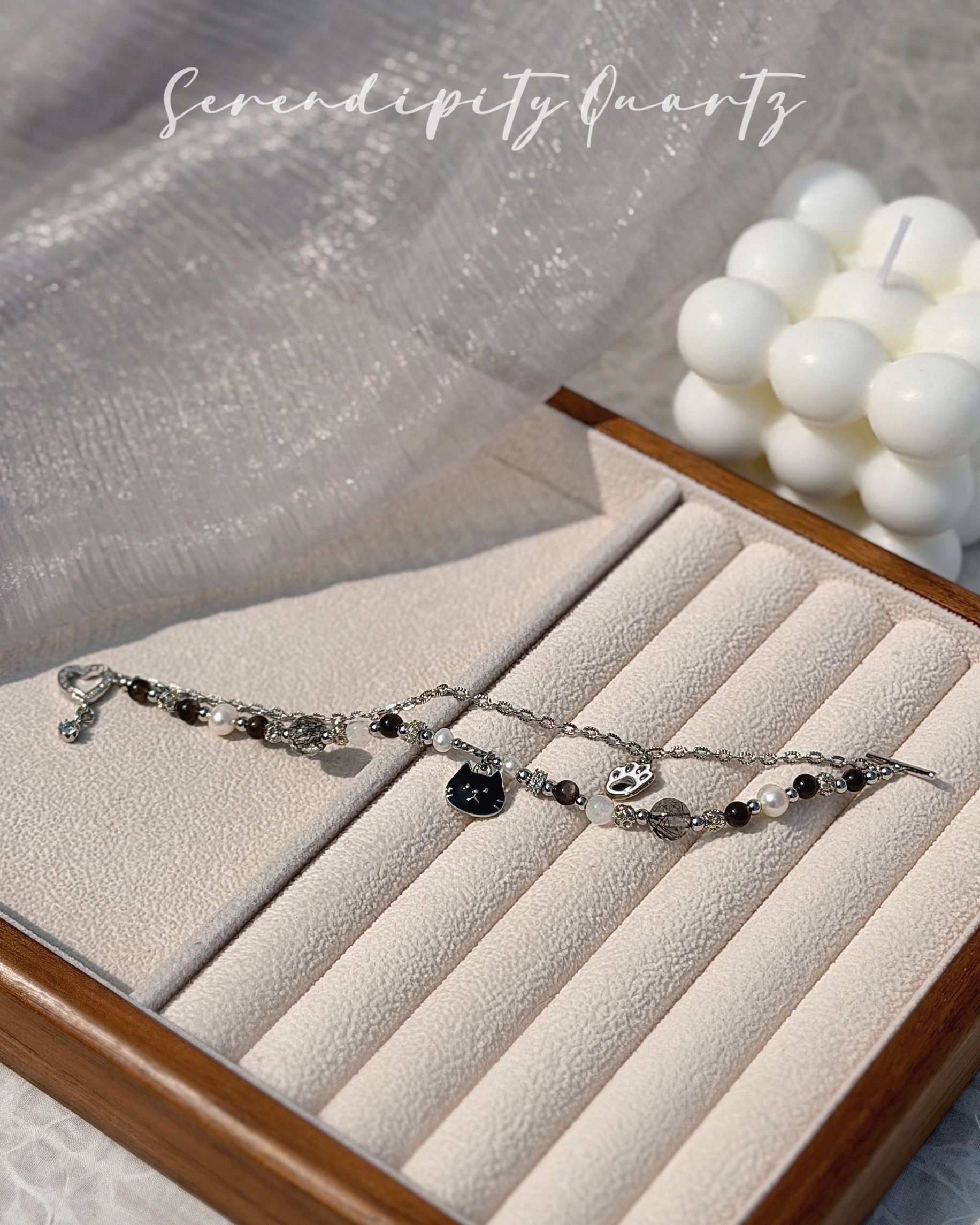 萌寵小寶貝-貴氣小黑貓